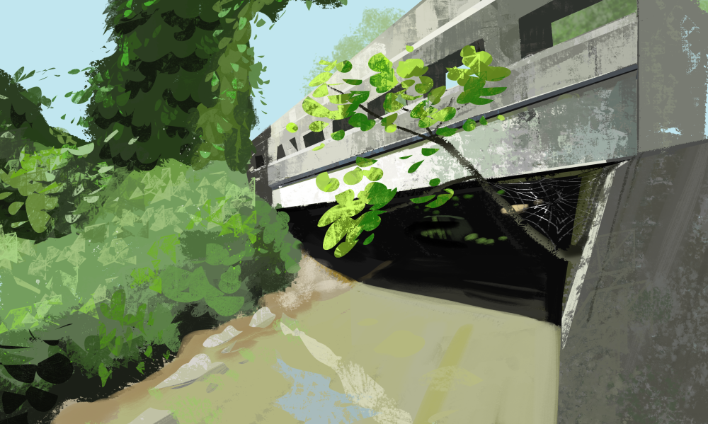 Environment study