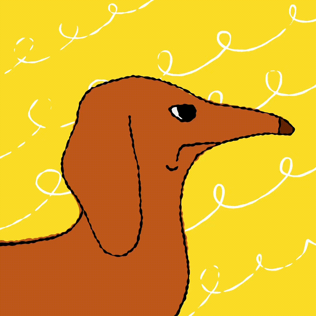ANIMATION