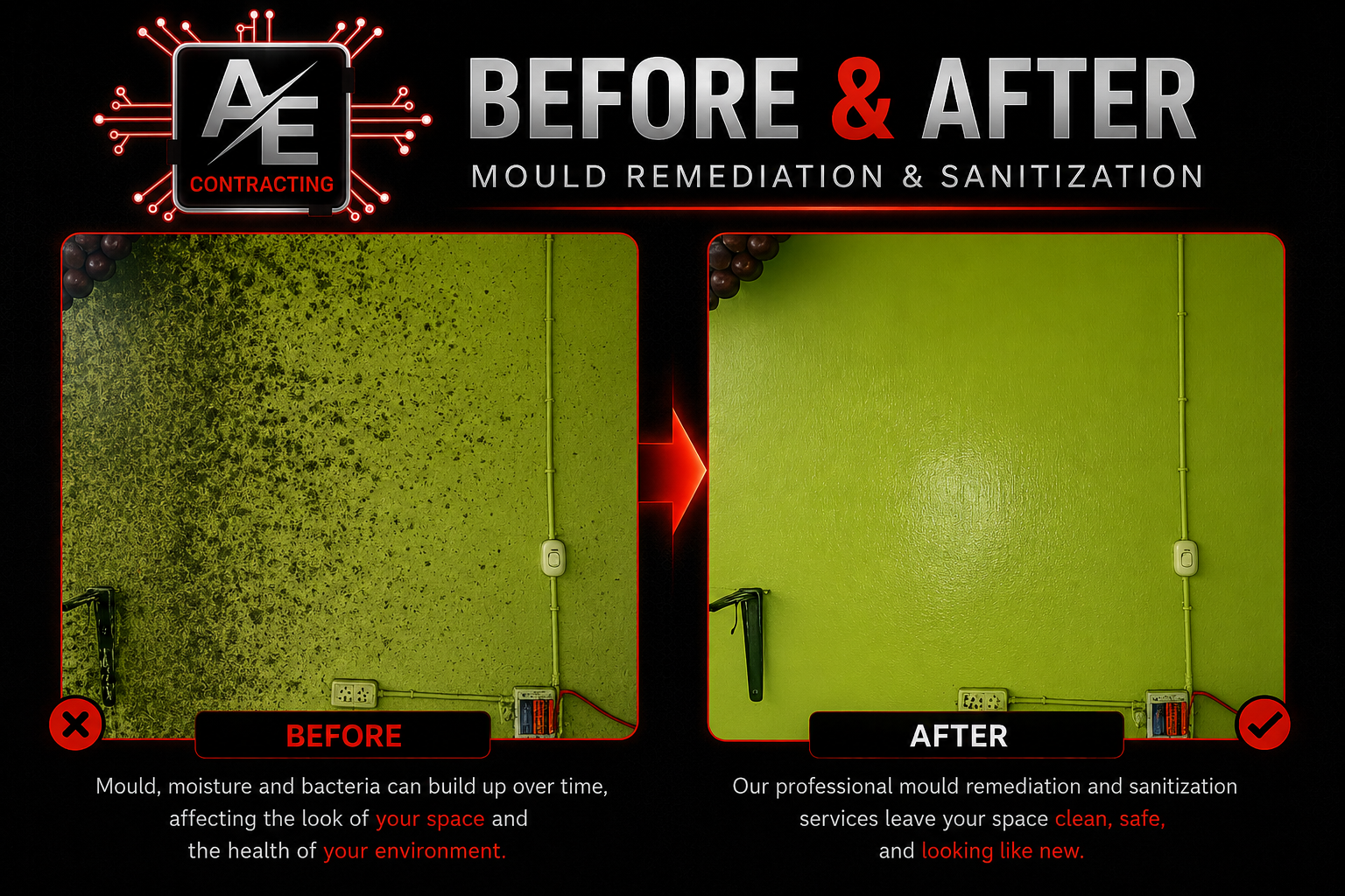 Comparison of a green wall before and after mold remediation. The 'before' side shows mold growth and dampness, while the 'after' side appears clean and dry, showcasing the results of professional mold remediation.