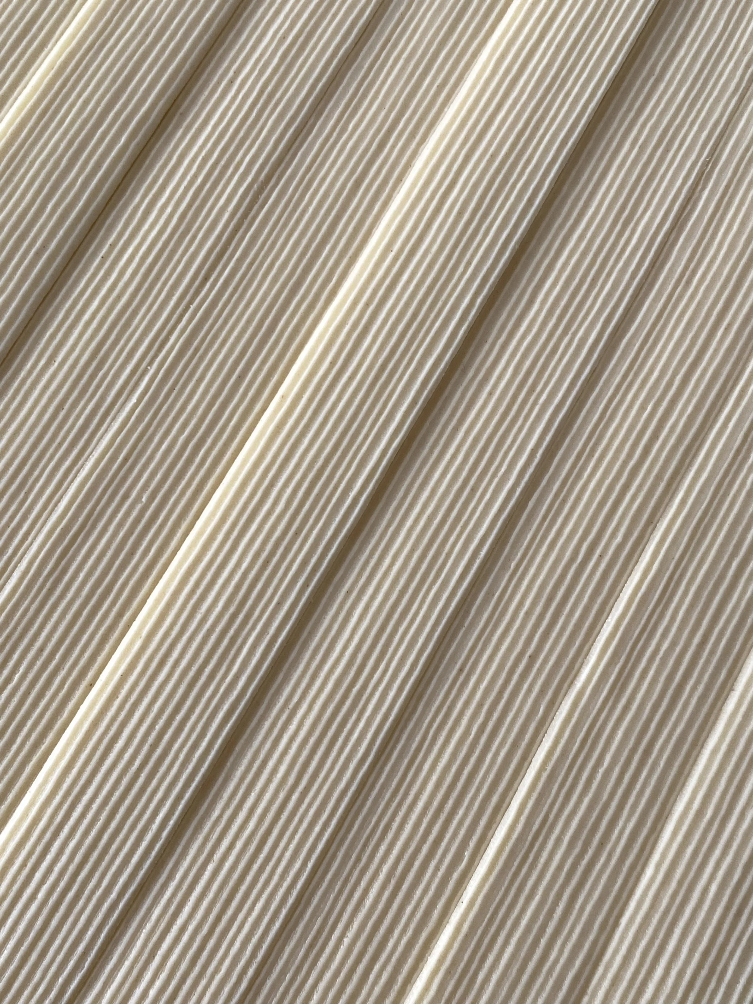 IMG_7312.jpeg