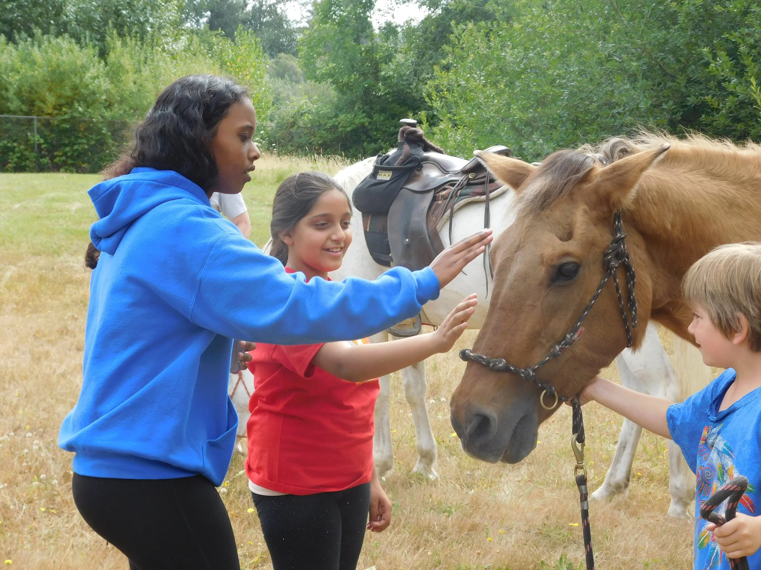 A group of children petting a brown horse in an outdoor grassy area with trees in the background.