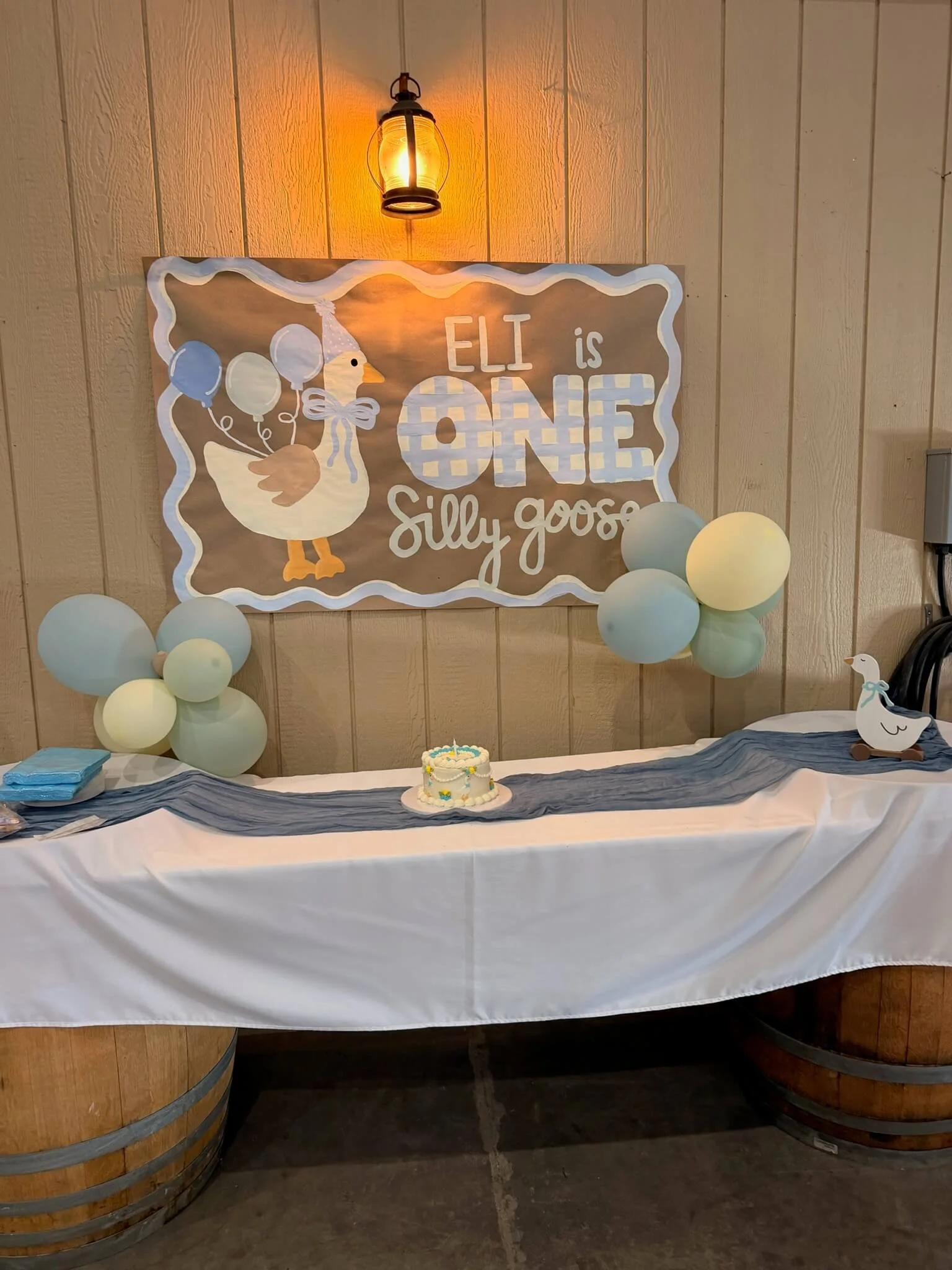 Decorative birthday party setup with a banner reading "Eli is One Silly Goose" featuring a cartoon goose with balloons, balloons surrounding the display, a small cake with a candle, and a duck figurine on the table.