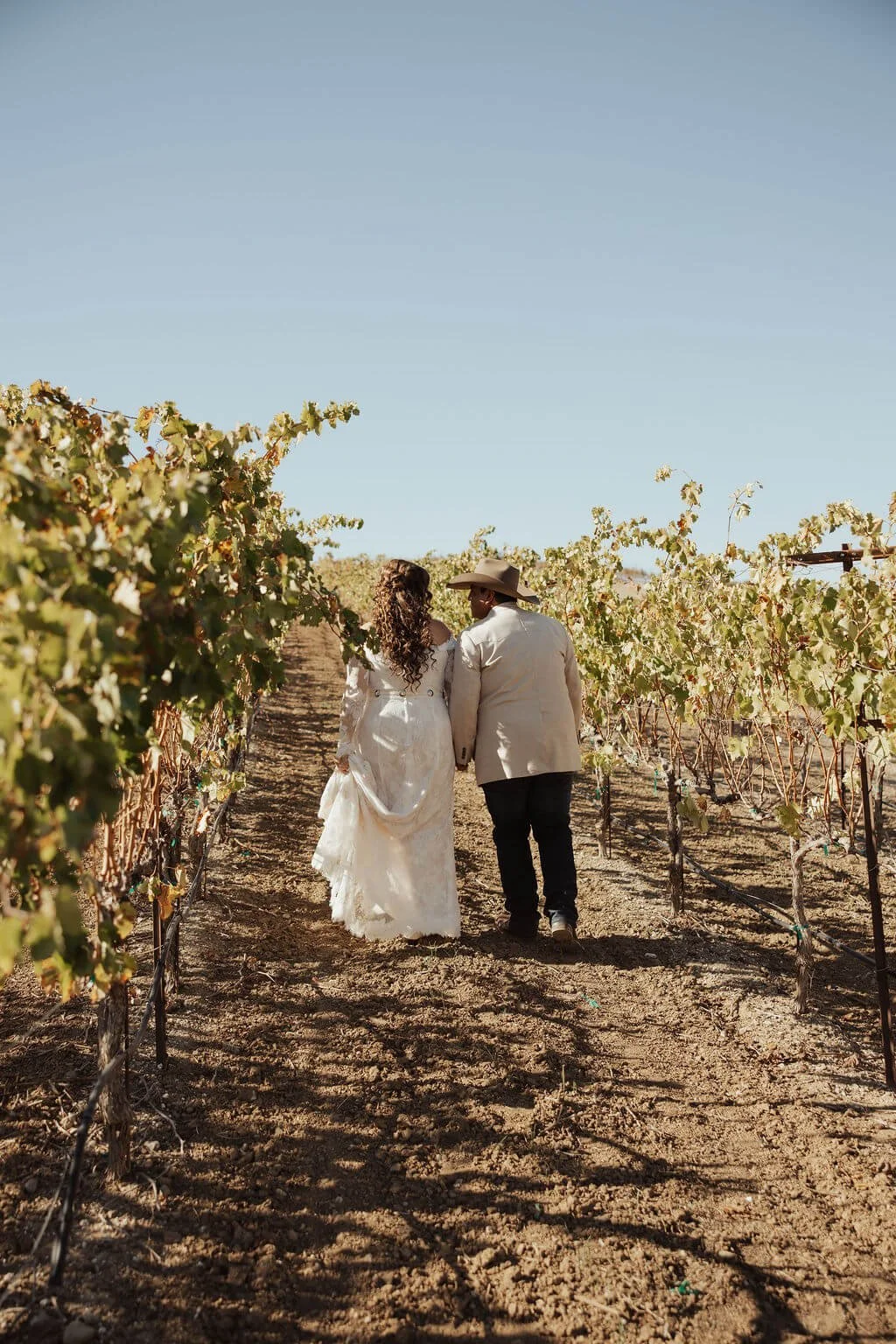 A couple walking hand in hand through a vineyard, with rows of grapevines on either side, under a clear blue sky.