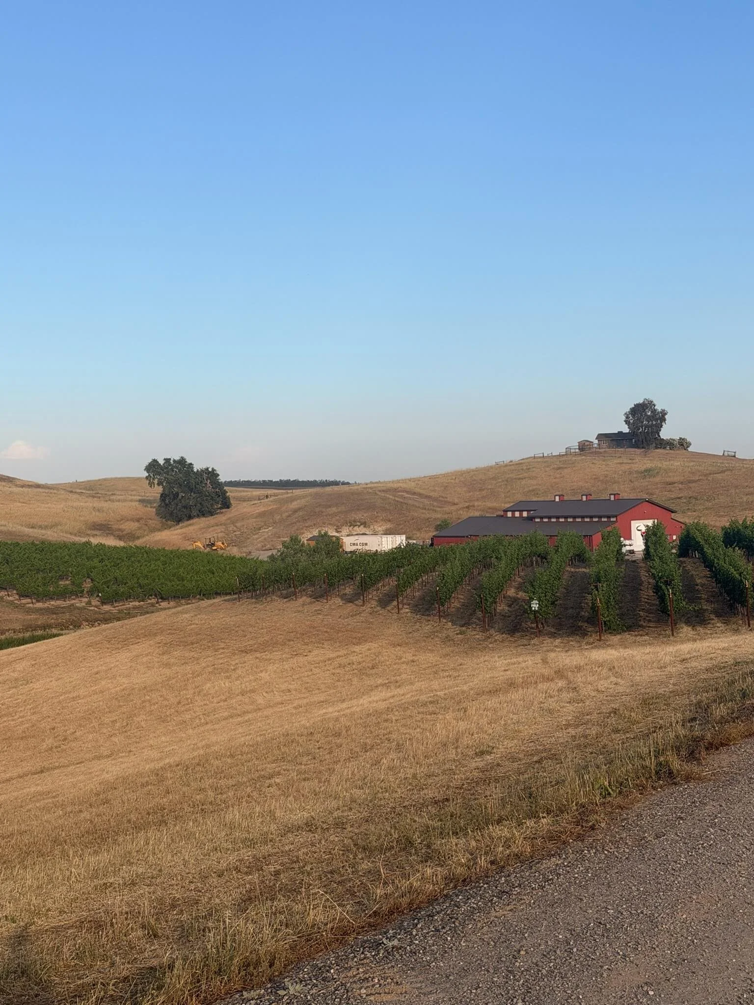 A landscape of rolling hills with dry, yellow grass, a vineyard with green vines in the foreground, a red barn, and a rural house atop a hill with trees against a clear blue sky.