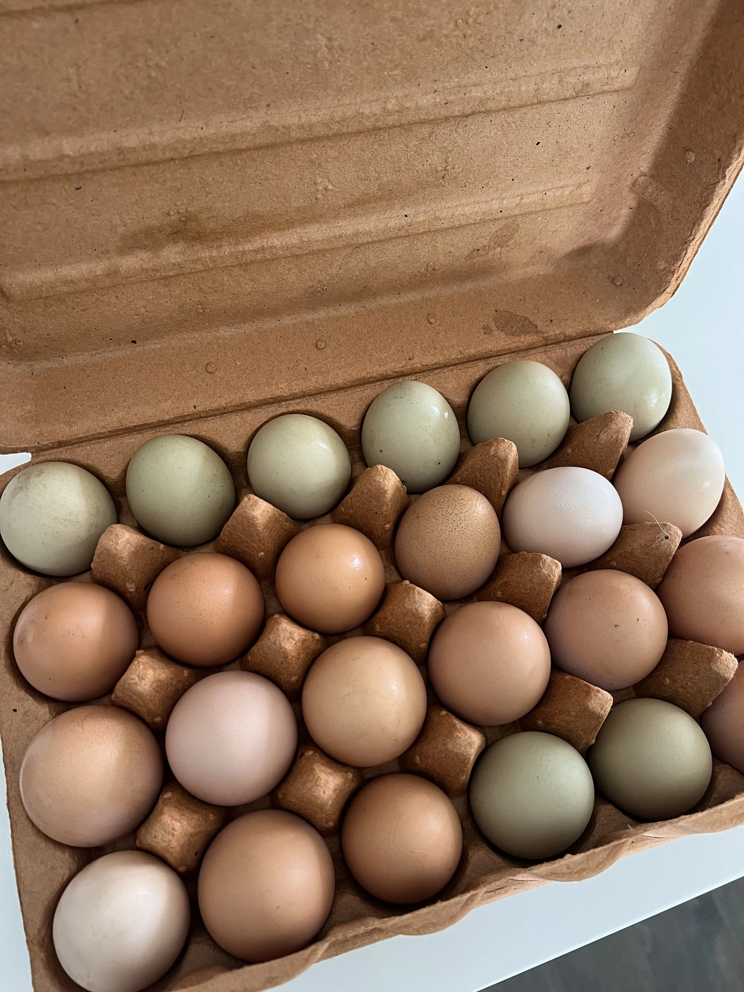 A cardboard egg carton holding eggs of various colors, including white, beige, and light green.