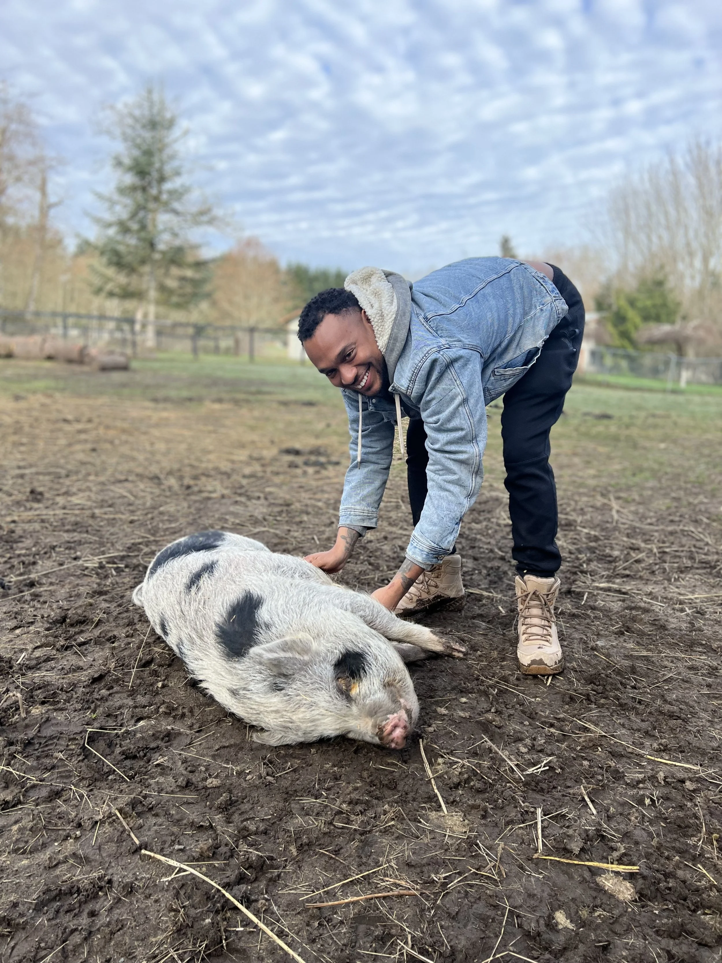 A man is smiling while leaning over a pig that is lying on the ground, in an outdoor farm setting with trees and a fence in the background.