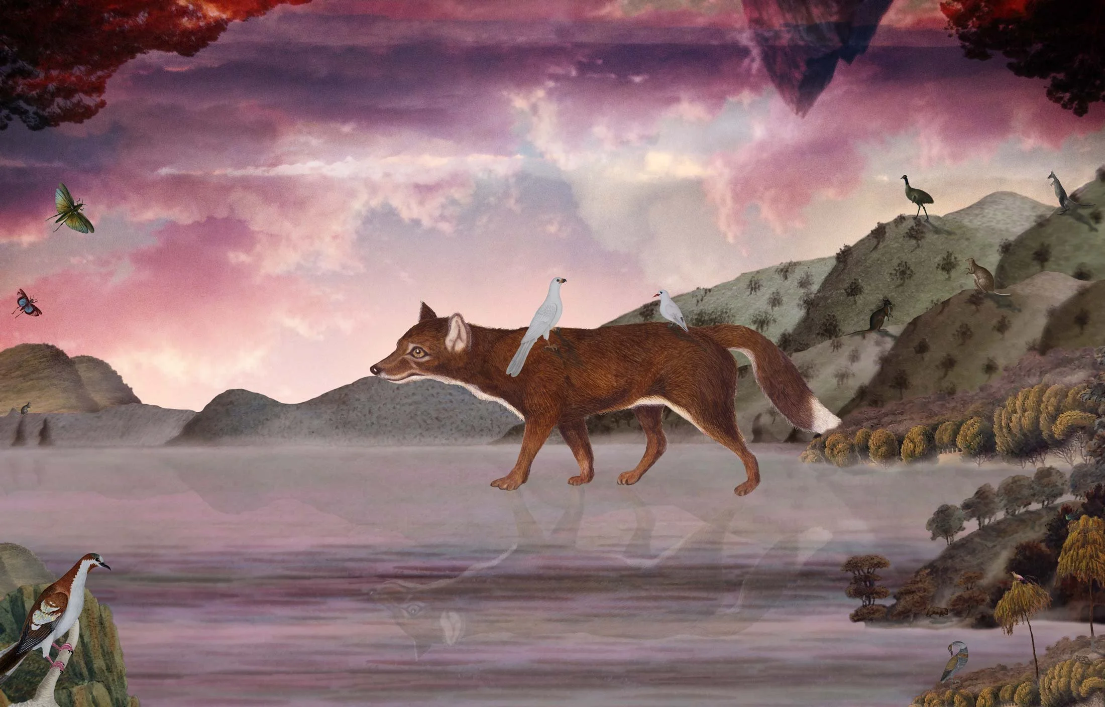 Dingo Walks on Water
Photomontage on archival cotton rag paper
edition 3/7
64 x 100 cm - framed 
$4,500