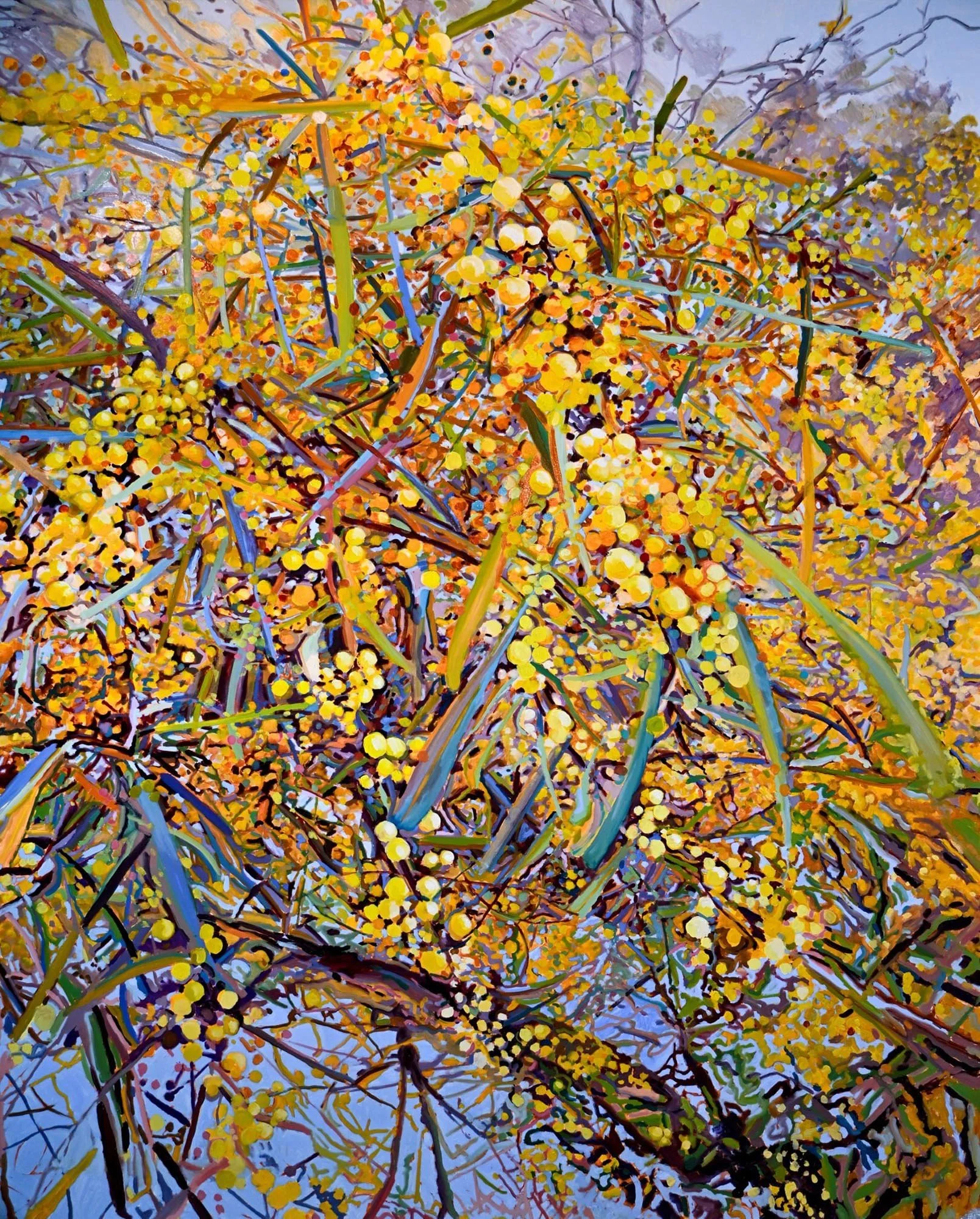 Spring Wattle over the River
oil on canvas 
150 x 120 cm