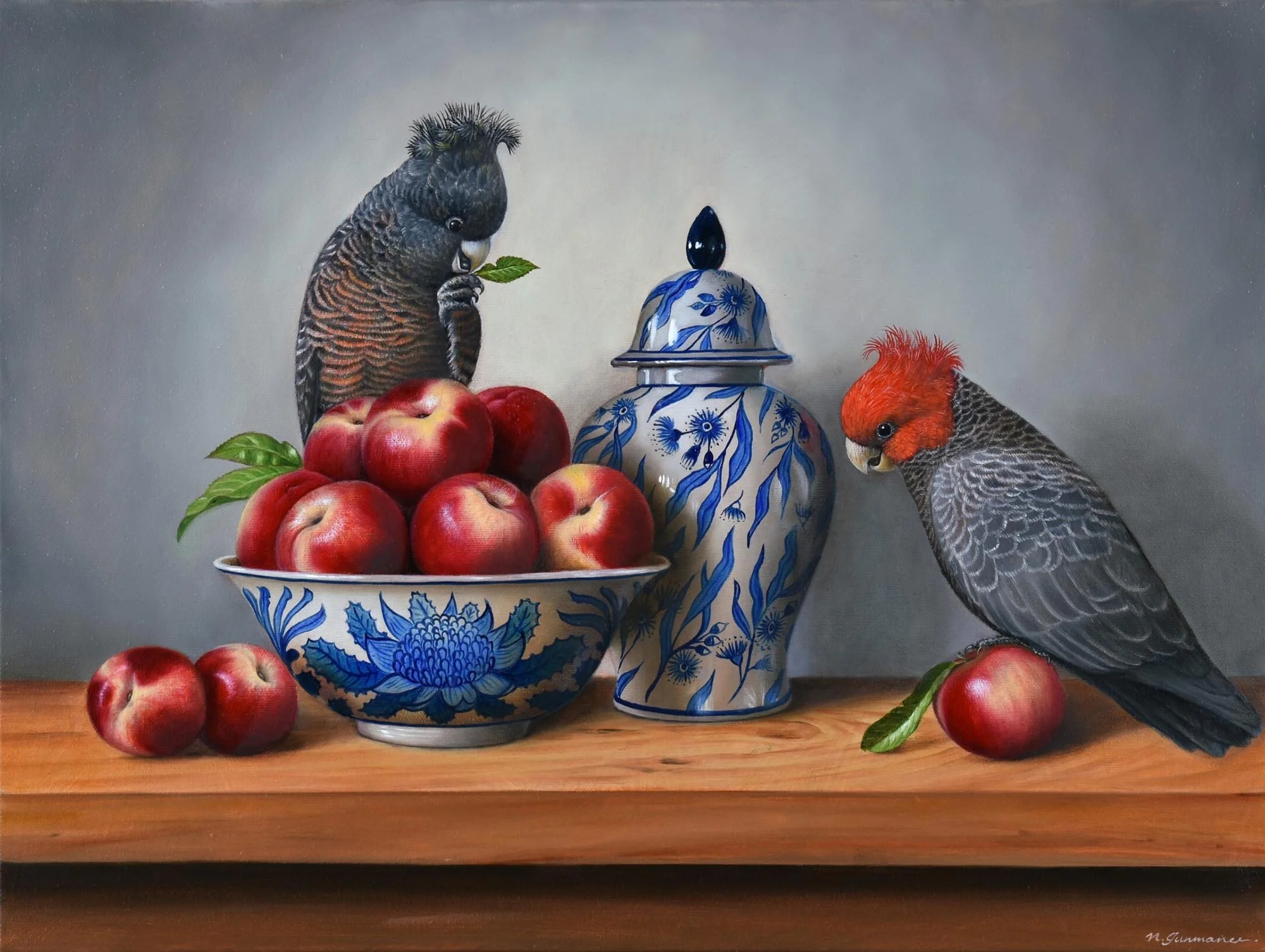 Gang-gang Cockatoo’s Love Song 
oil on canvas 
45 x 60 cm