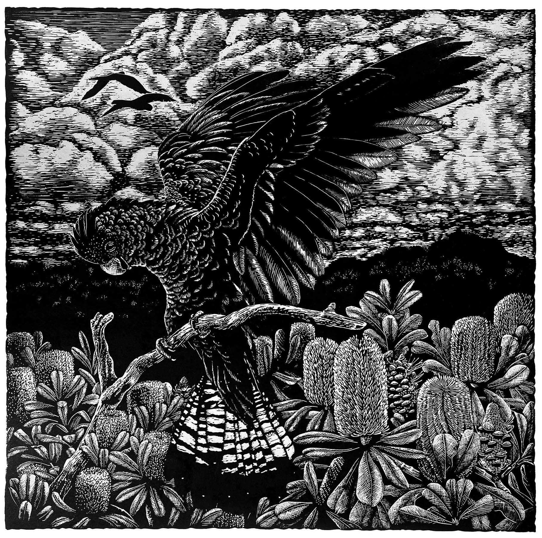Alight
linocut ed. 7/30
60 x 60 cm / framed 85 x 82 cm
$1,850 framed | $1,465 unframed