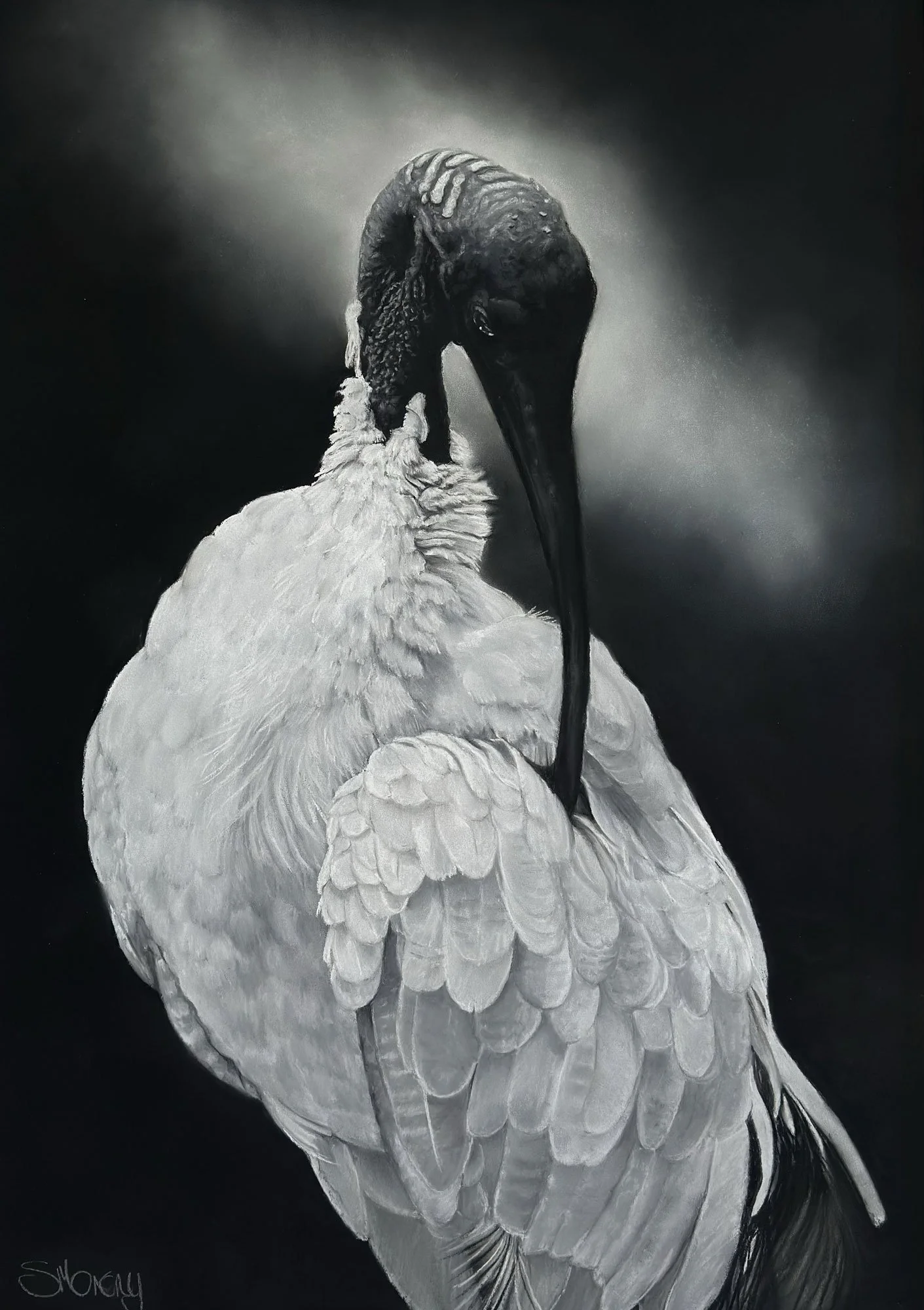 Eye Of The Beholder 3
soft pastel
70 x 50 cm / framed 92 x 72 cm
$3,400