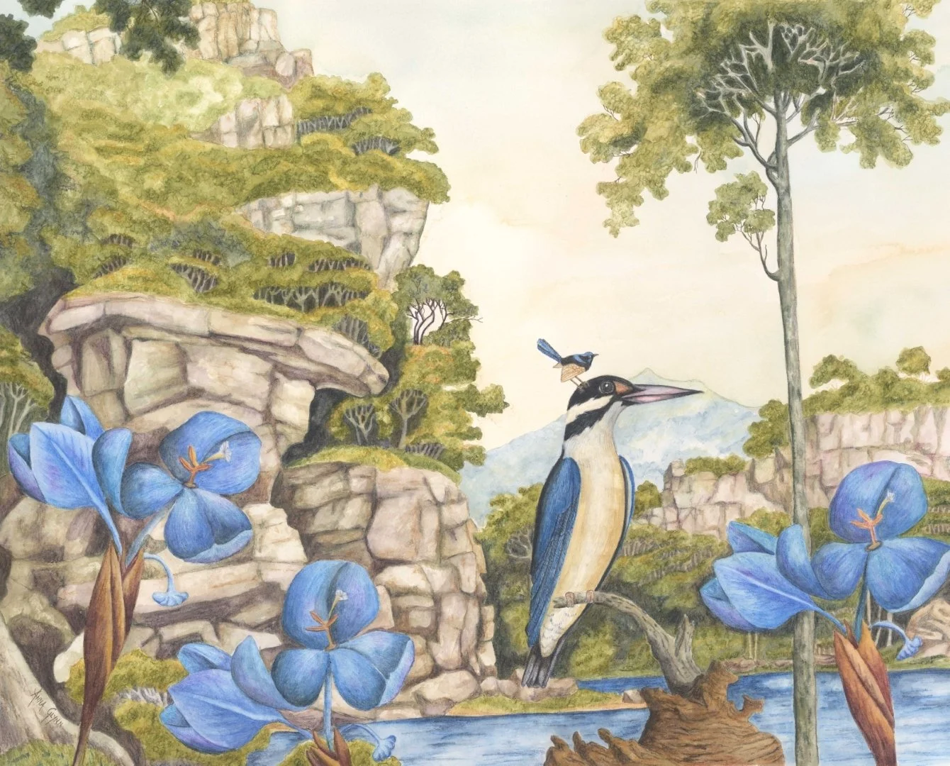 Antipodean Wonderland Tableaux Illawarra
2017
ink, watercolour & pencil on Arches paper
51 x 66 cm