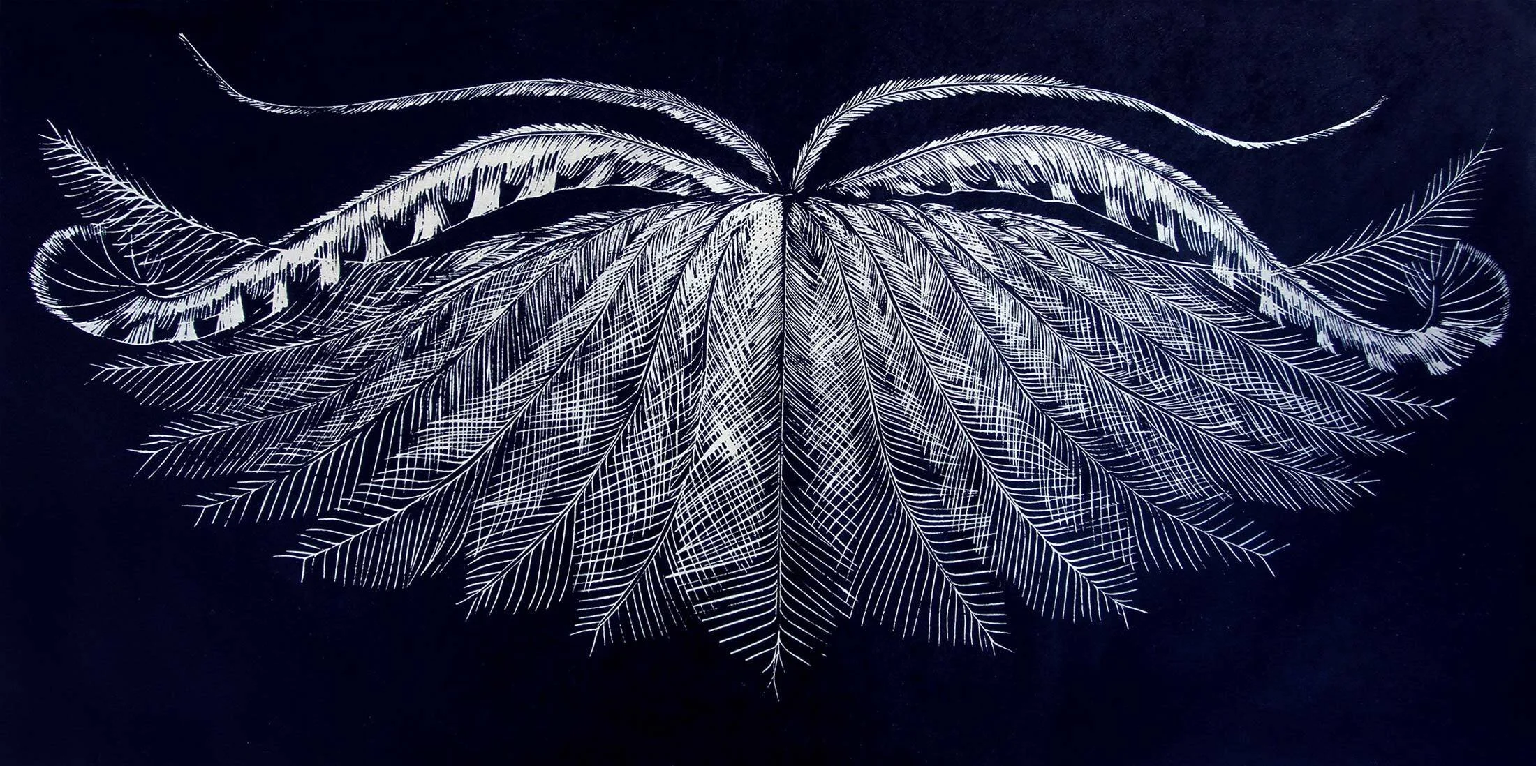 Lyrebird, come dance with me
Relief linocut
Ed. 16/50
framed 56 x 84cm
$1,400