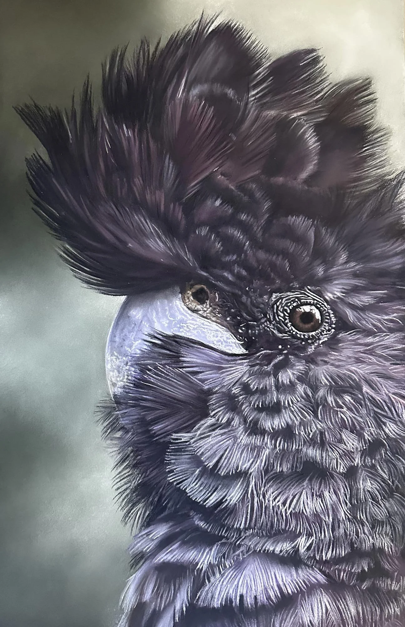 Shades of Black
soft pastel
47 x 31.5 cm / framed 66 x 51 cm
$1,800