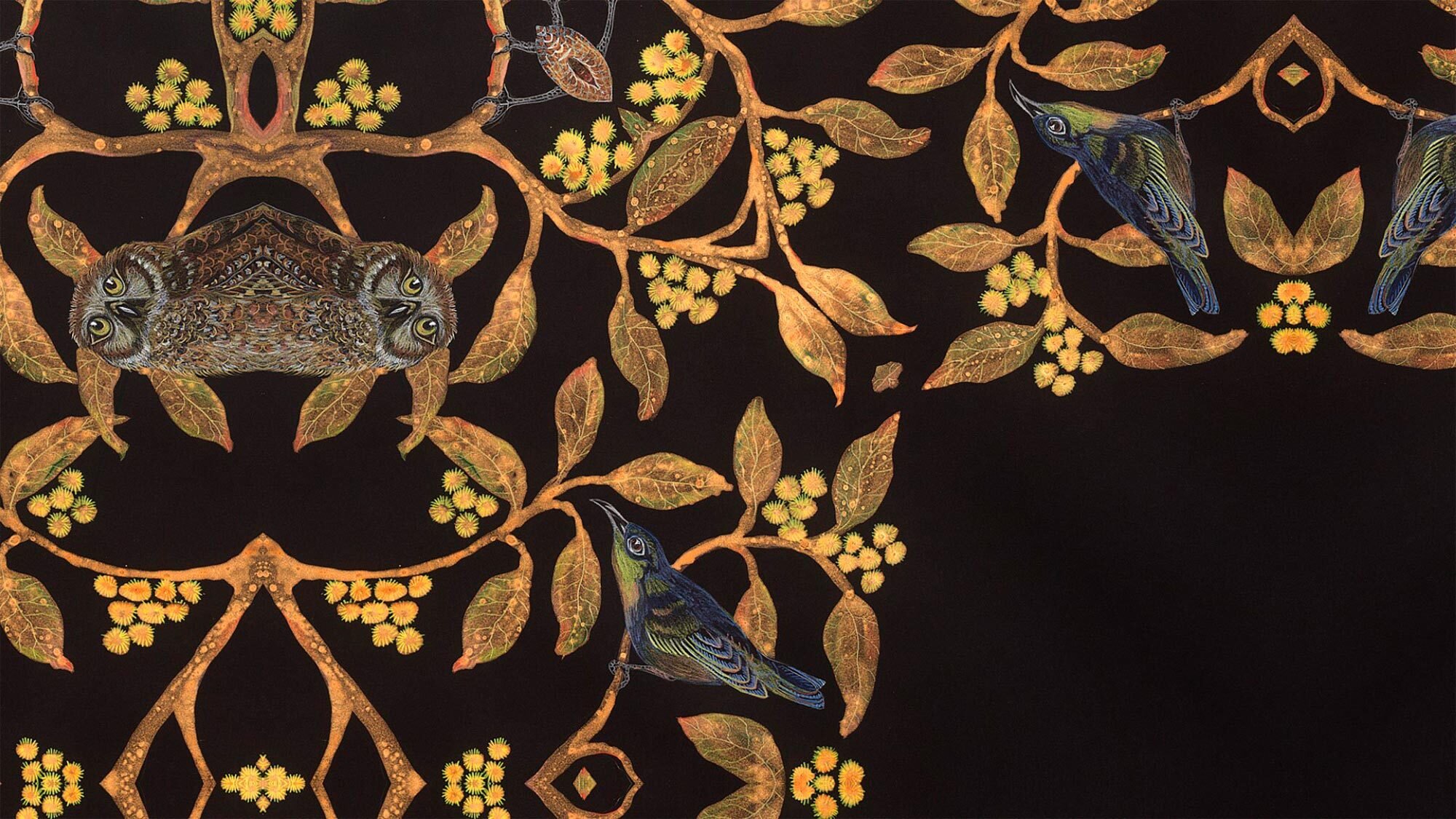 Lost Species - A Folly, Pied Butcherbird in Mourning
2022
Moving image/video single channel MP4
No. 1 in edition of 7
03:52 minutes
$4,750