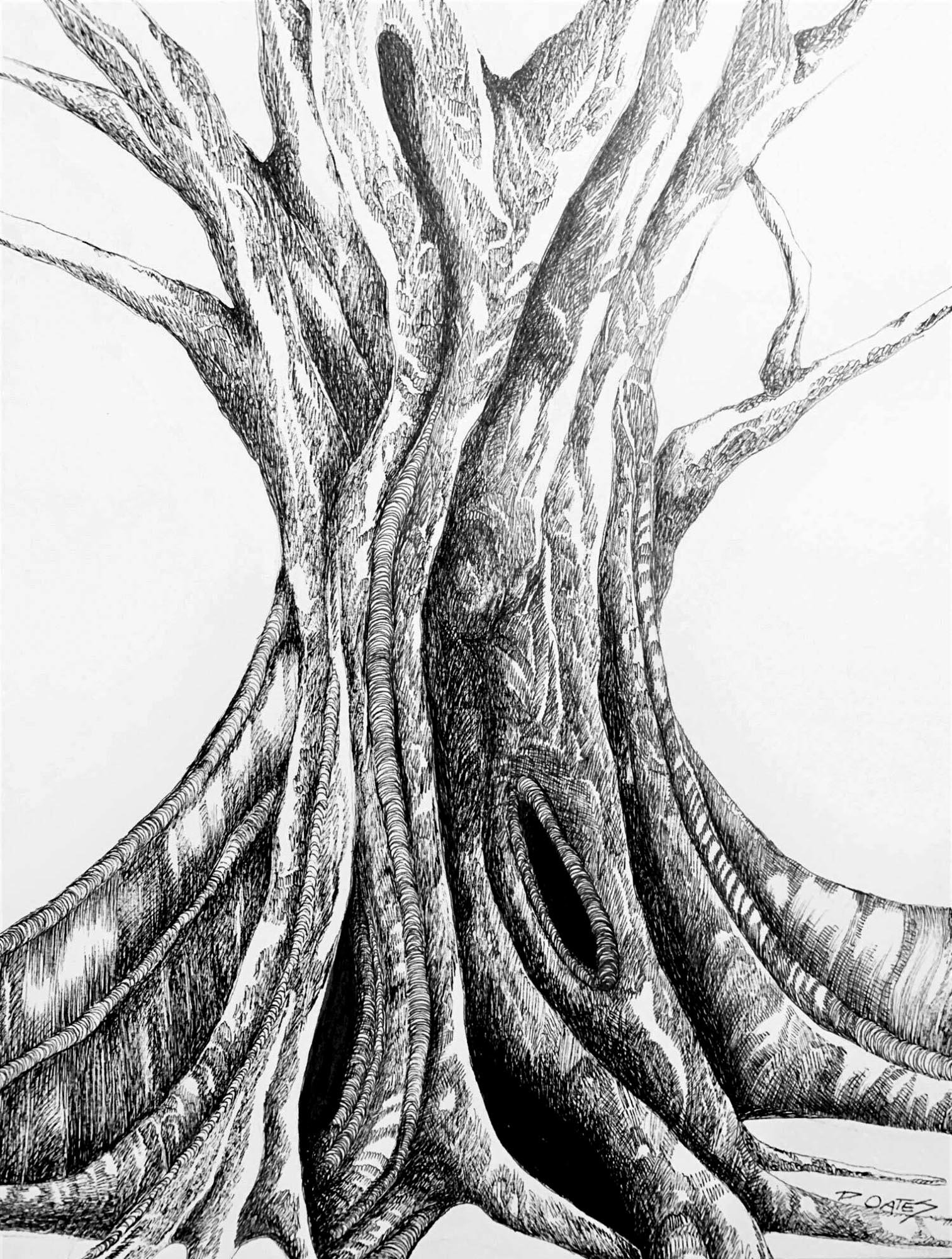 Figments 3 
ink on watercolour paper 
49 x 41 cm framed 