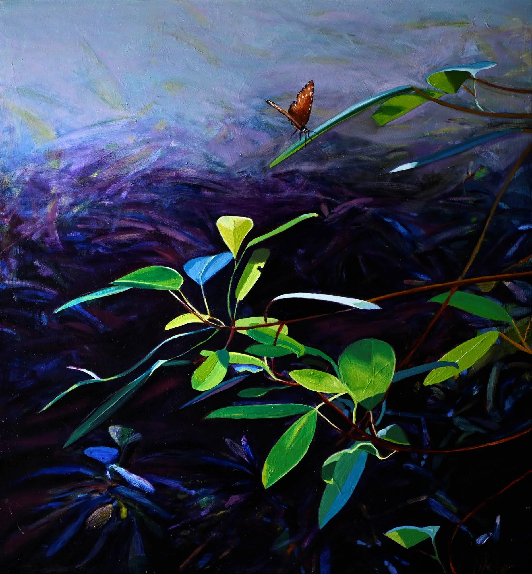 Fig Tree Magic Light
oil on birch panel
framed in Tassie oak
70 x 65 cm