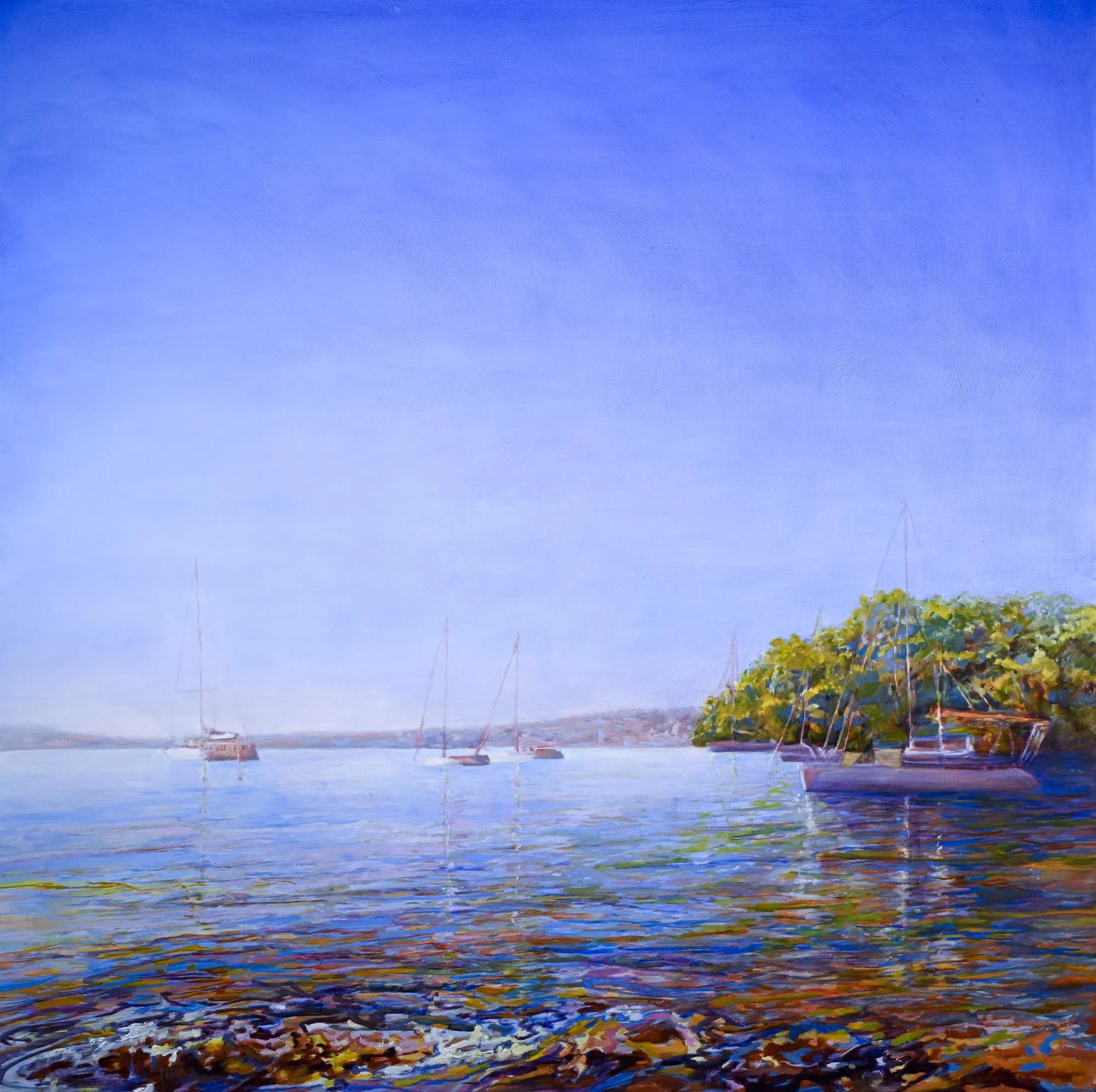 Secret Cove
oil & pigment on poly-cotton canvas, framed in solid Tassie Oak
120 x 120 cm