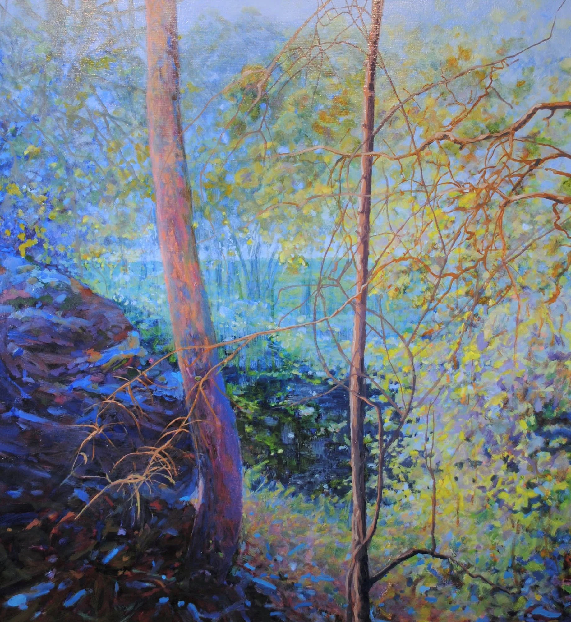 Looking down the Valley
oil on board
framed in Tassie oak
70 x 65 cm