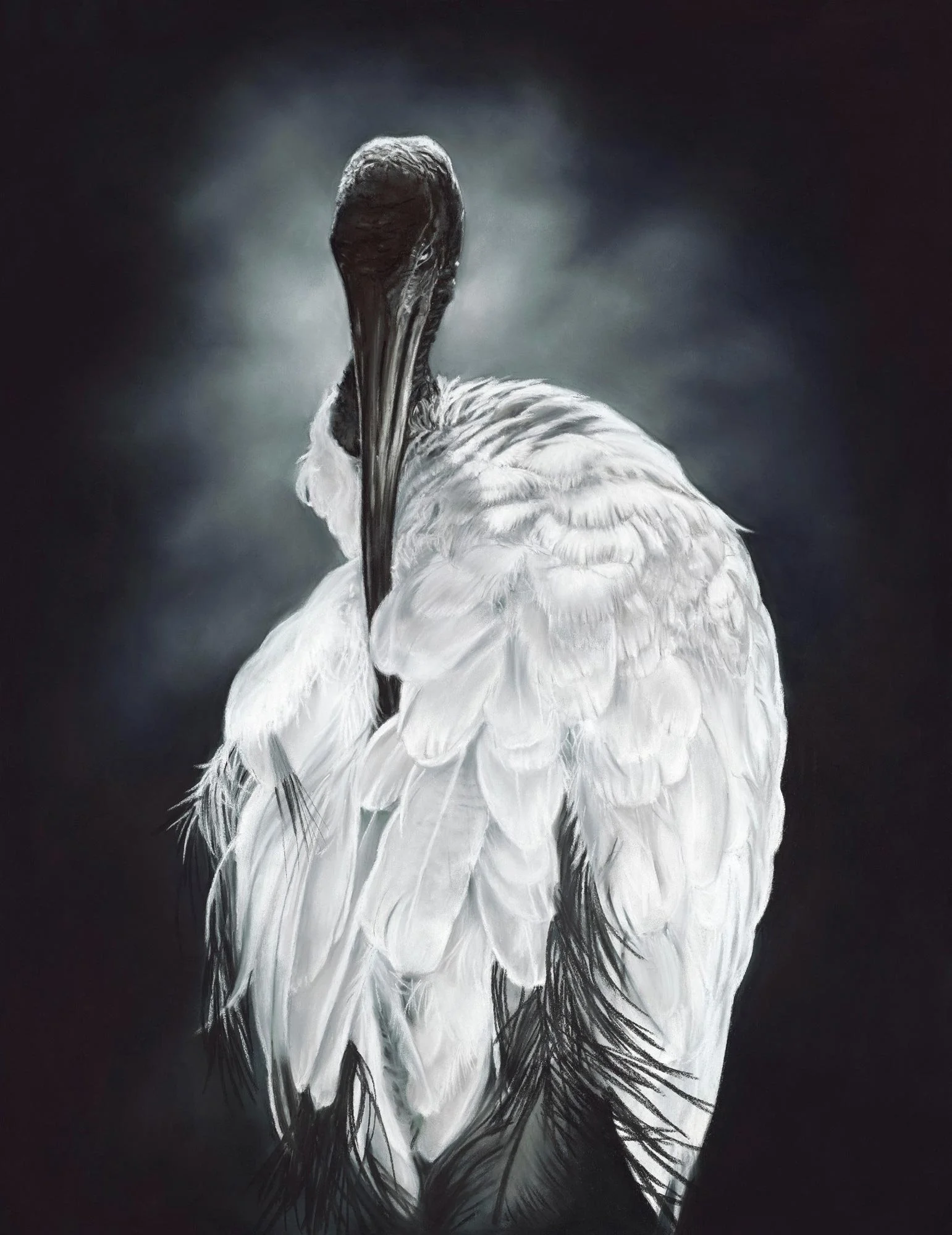 Eye of the Beholder
soft pastel on paper
61 x 44.5 cm / framed 80.5 x 64 cm -