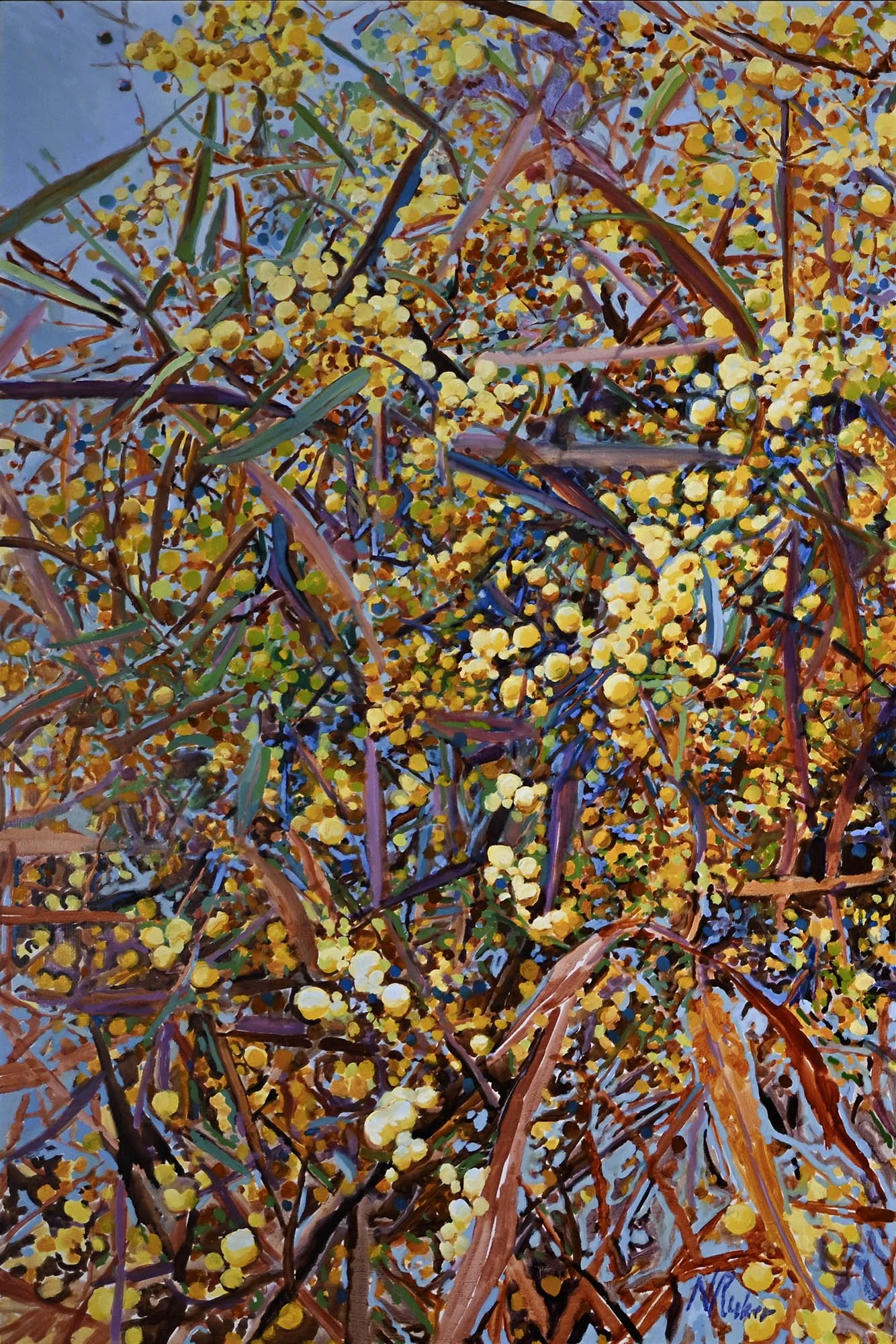 Wattle after a Wet Spring 1
oil on board
framed in Tassie oak
120 x 80 cm