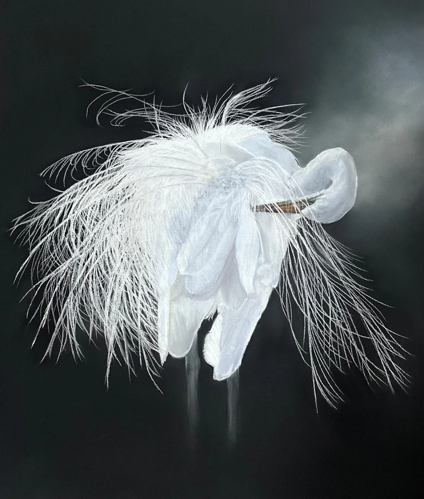 Evanescence
soft pastel
58 x 51.5 cm / framed 80 x 73. 5 cm 