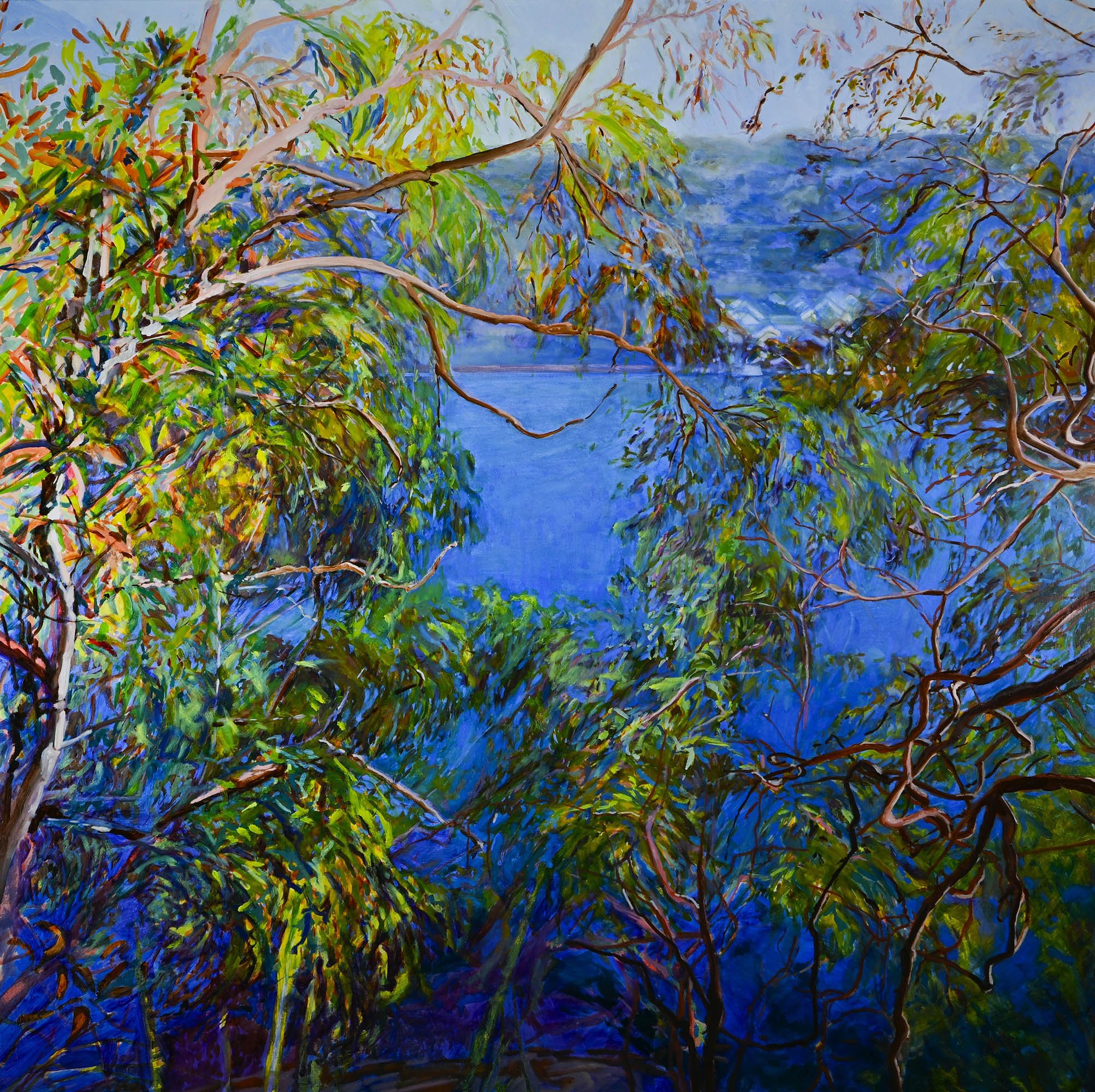 Glimpses
oil and pigment on poly-cotton canvas, 
framed in Tassie oak
120 x 120 cm