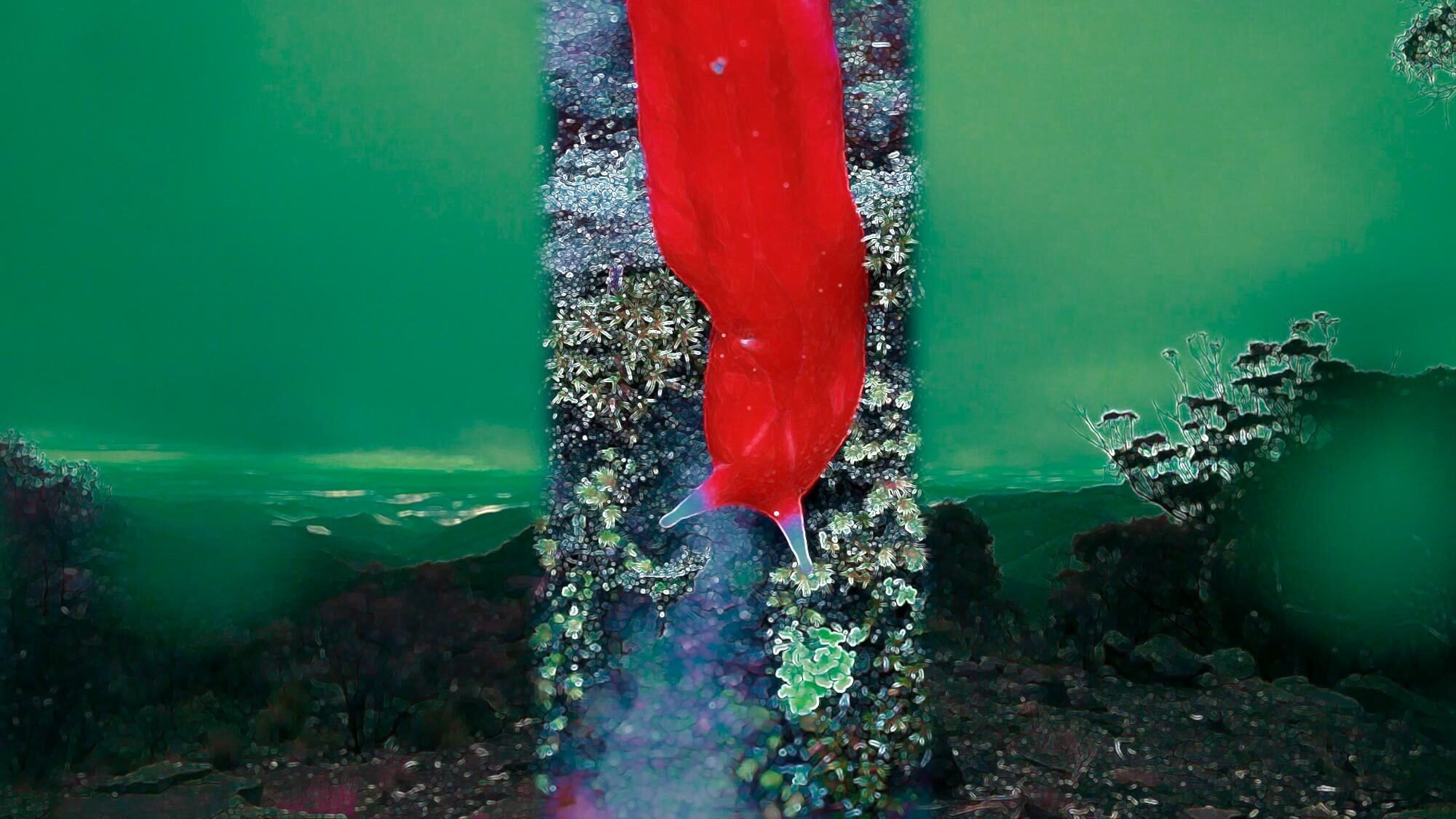 Marooned
2019
Moving image/video single channel MP4
No. 1 in edition of 7
07:00 minutes
$5,750