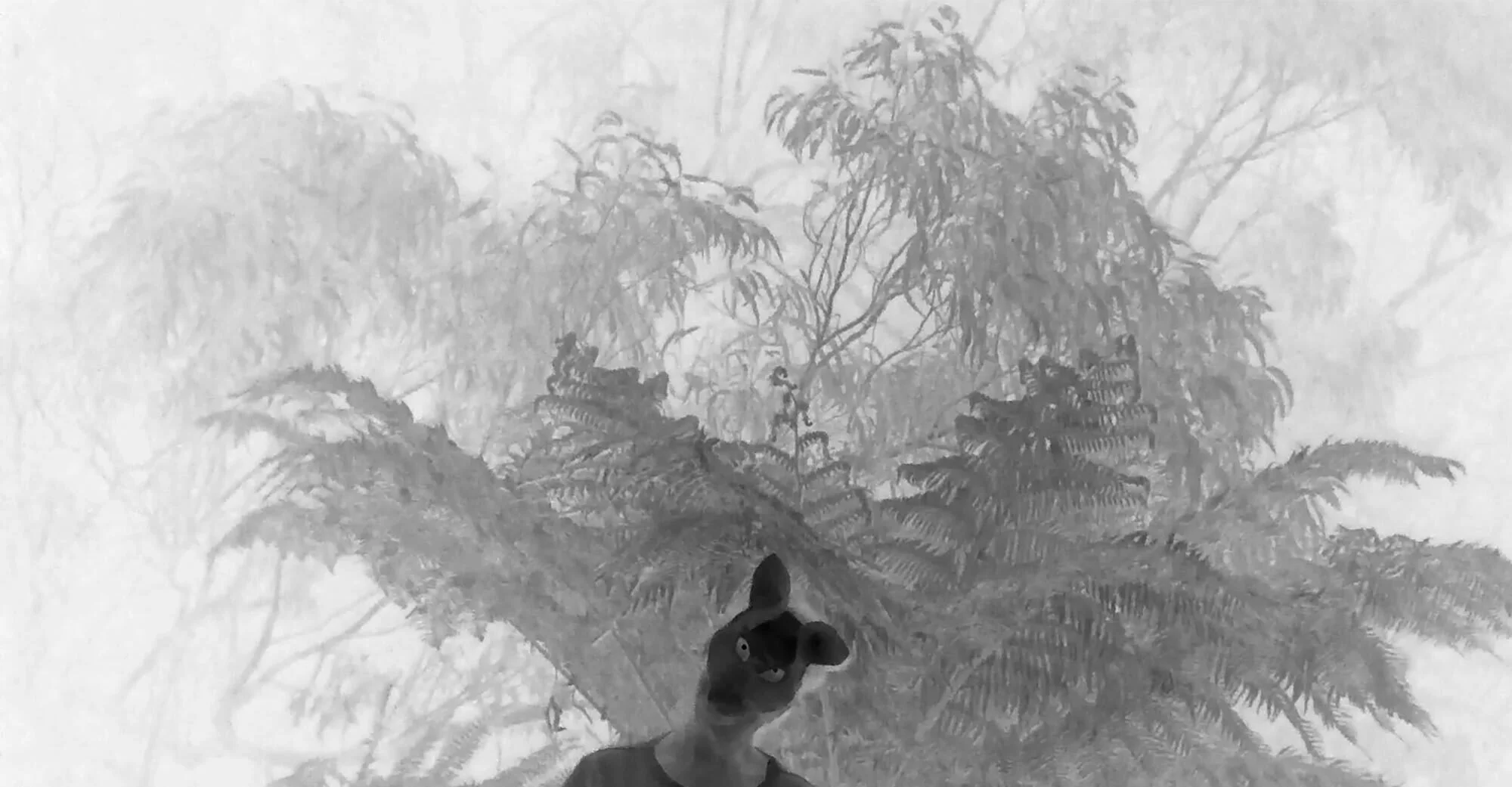 Wildlife 1
2025
Wildlife Camera, Motion Sensor, Infrared Inverted 
Pigment photographic print on archival 310gsm cotton rag
No. 1 in edition of 5
18.57 x 36cm
$1,200