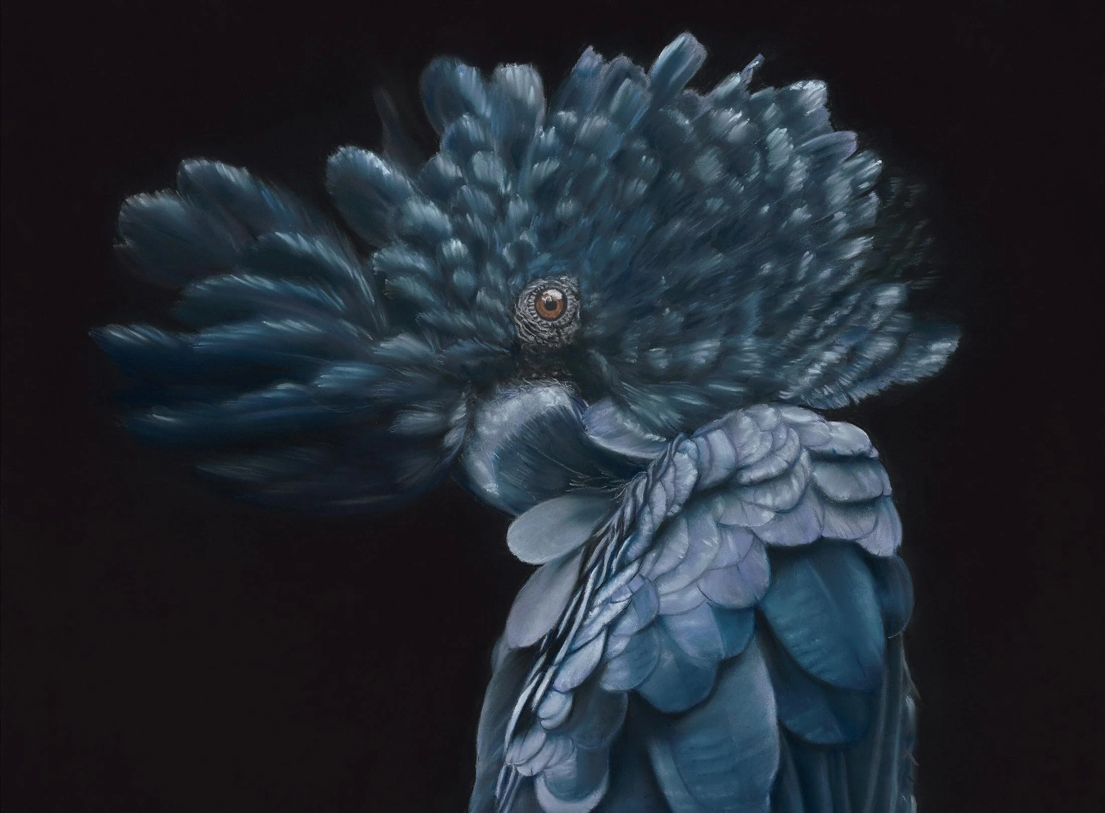 Fade to Black
soft pastel
45.5 x 61.5 cm / framed 68.5 x 84.5 cm