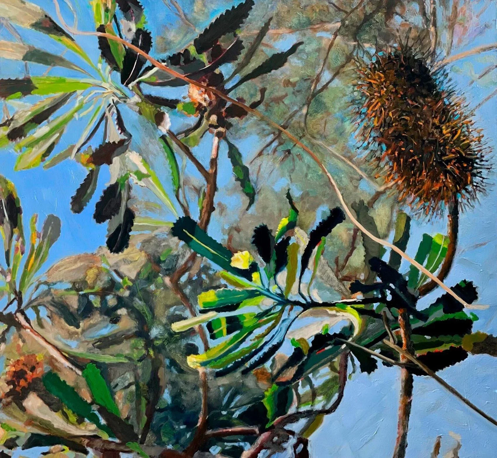 Old Man Banksia
oil on birch panel
70 x 70 cm
[ sold ]