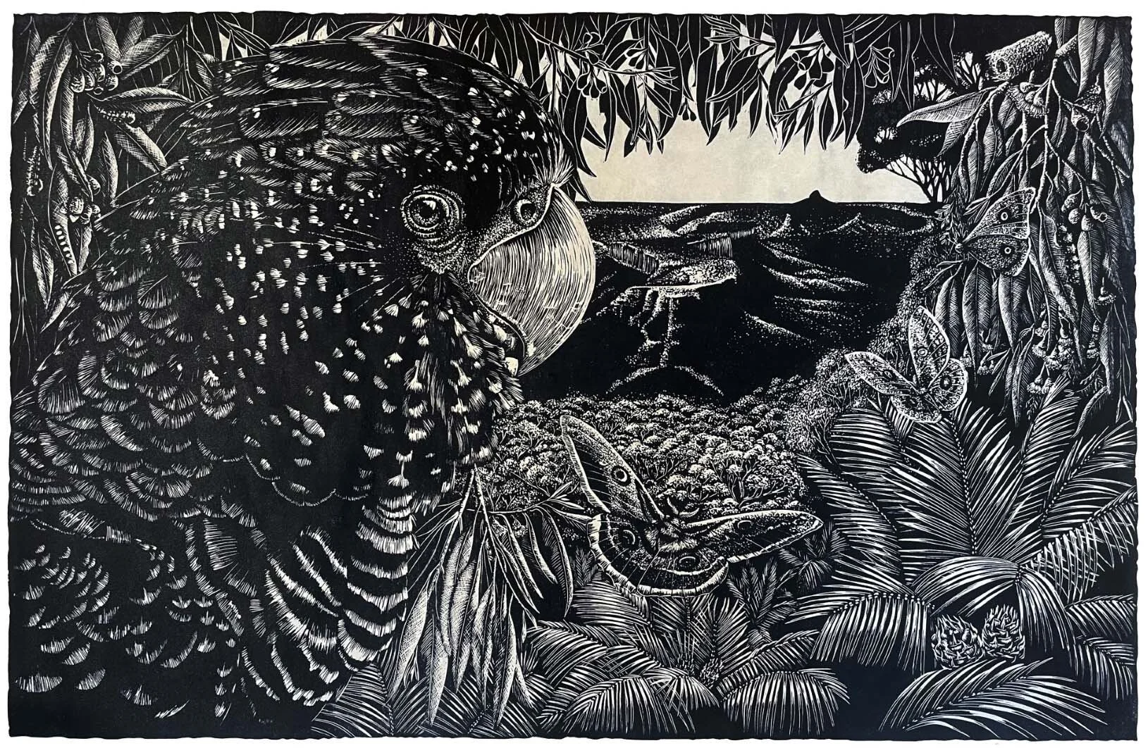 Guardians of the Budawangs
linoprint ed. 2/15
90 x 60 cm, framed 114 x 82 cm
$2,500 framed | $2,050 unframed