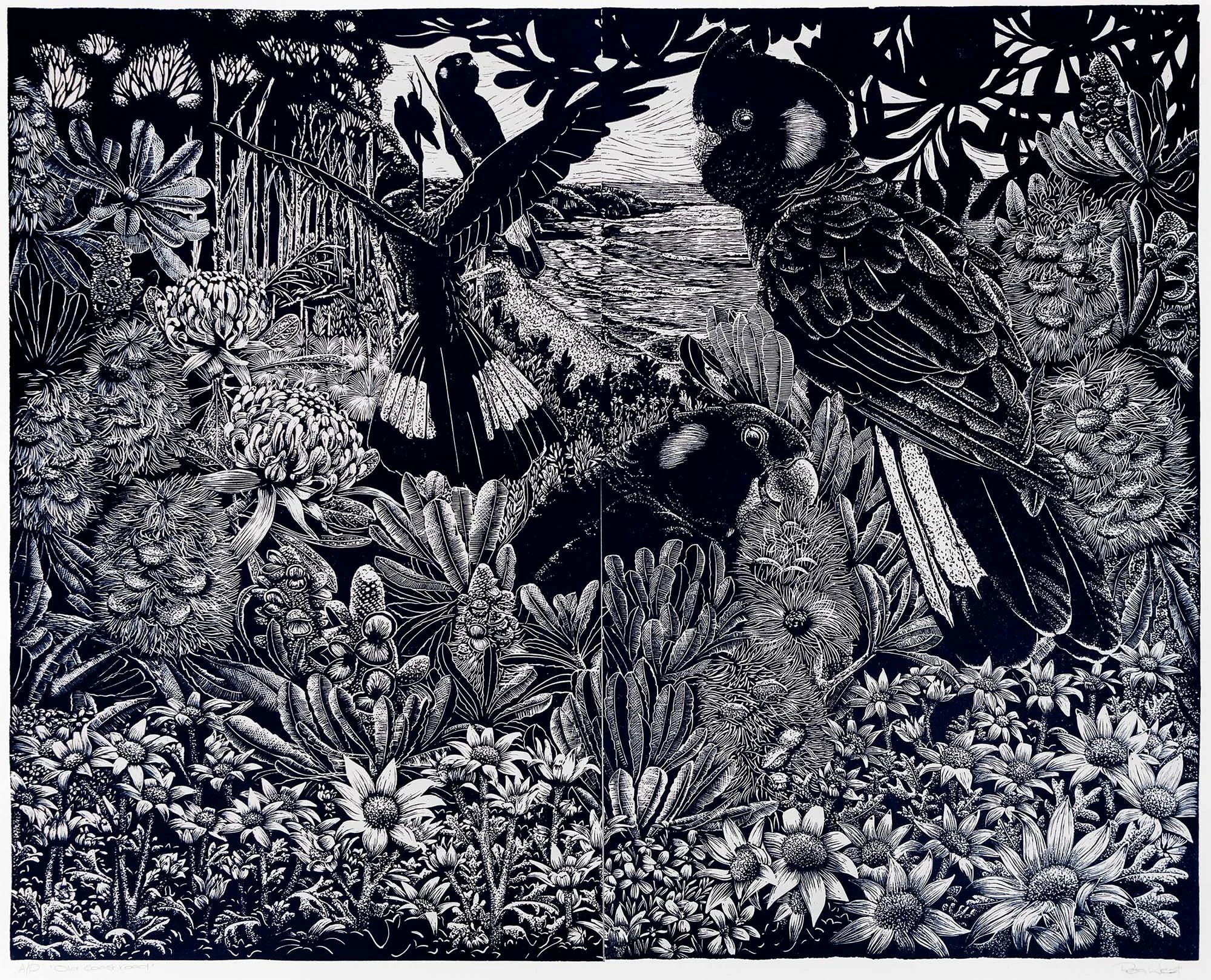 Old Coast Road
linoprint ed. A/P
80 x 100 cm / framed 95 x 114 cm