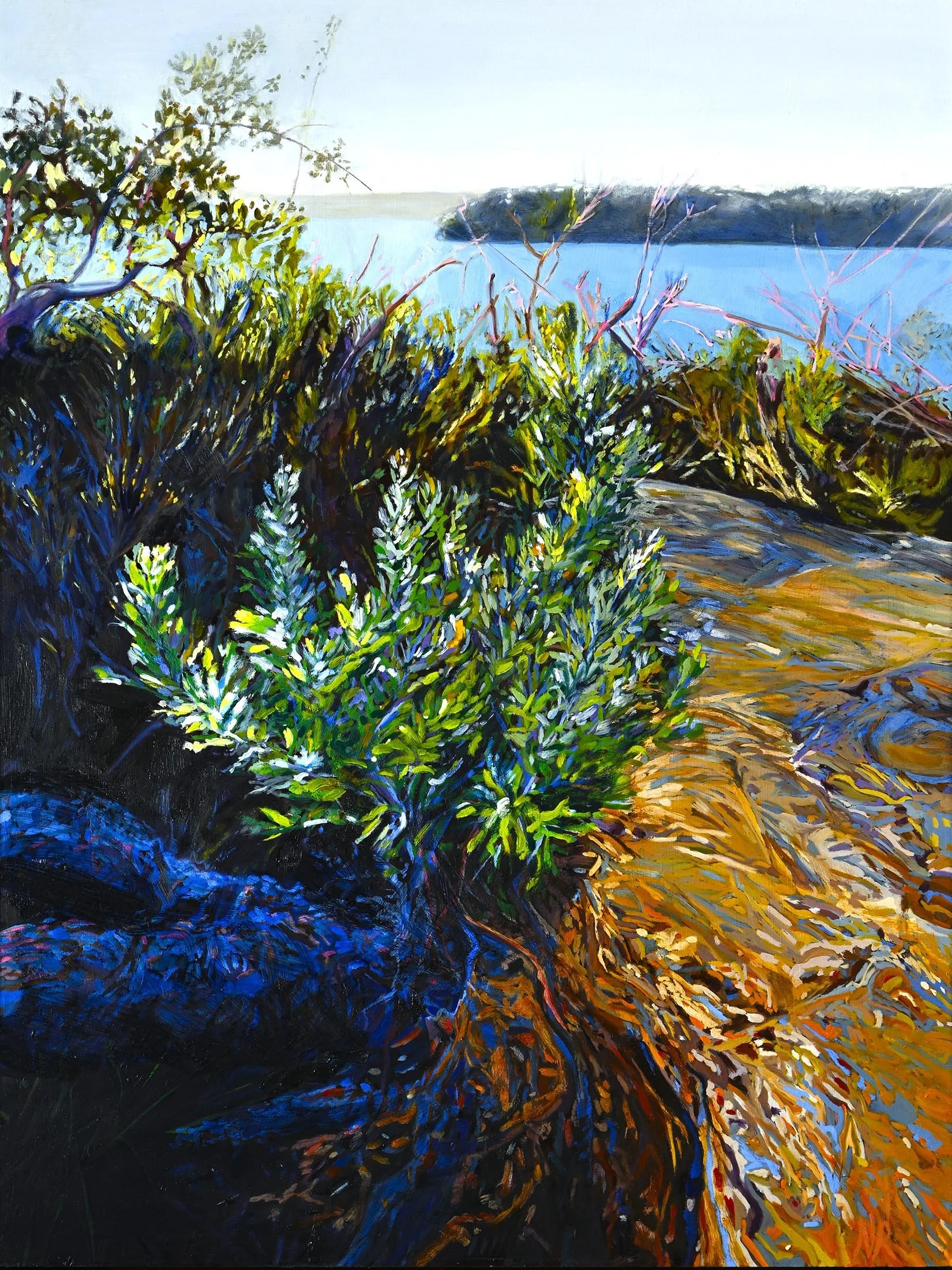 Banksia Renewal
oil on birch panel
80 x 60 cm
$3,900