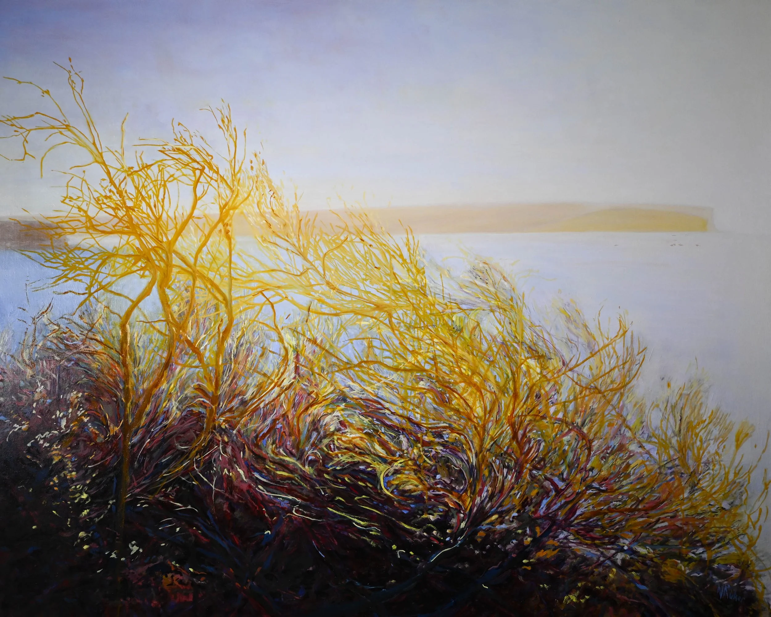 Dawn over the Heads
oil & pigment on poly-cotton canvas 
framed in Tassie Oak
120 x 150 cm