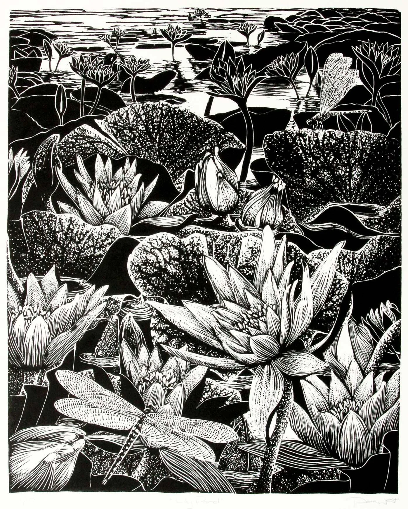 Lily Pond
linoprint ed. 1/10
50 x 40 cm / framed 95 x 84.5 cm
$ 1,800 framed | $ 1,320 unframed