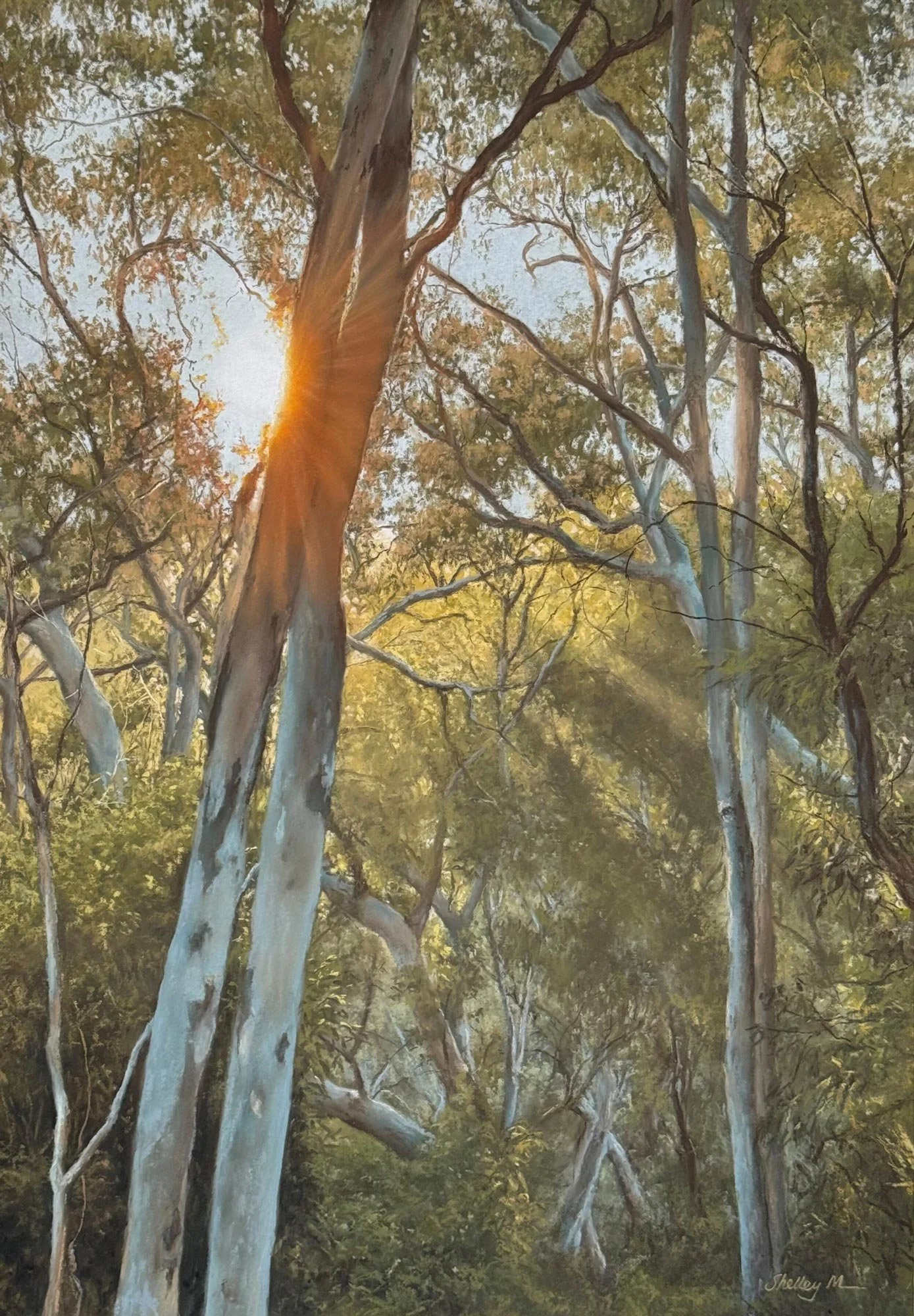 Gentle Awakening
soft pastel
66.5 x 46 cm  /  framed 87.5 x 67 cm