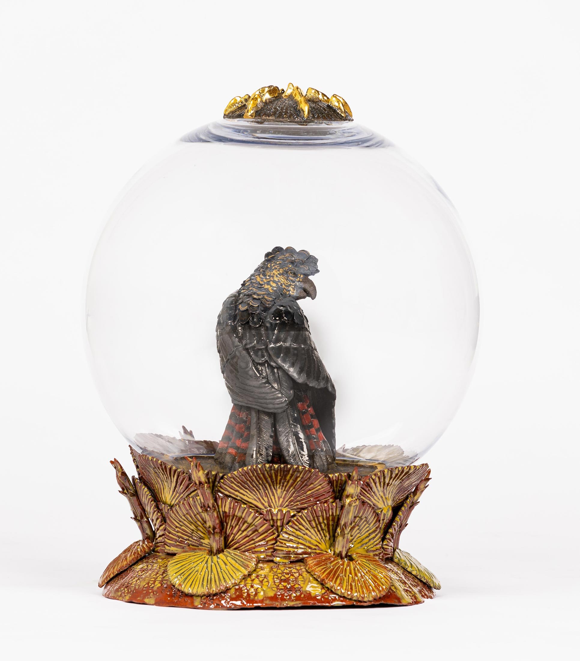 Declining - Glossy Black Cockatoo
ceramic sculpture in a glass museum jar
35 x 35 x 40 cm
$ 3,800
