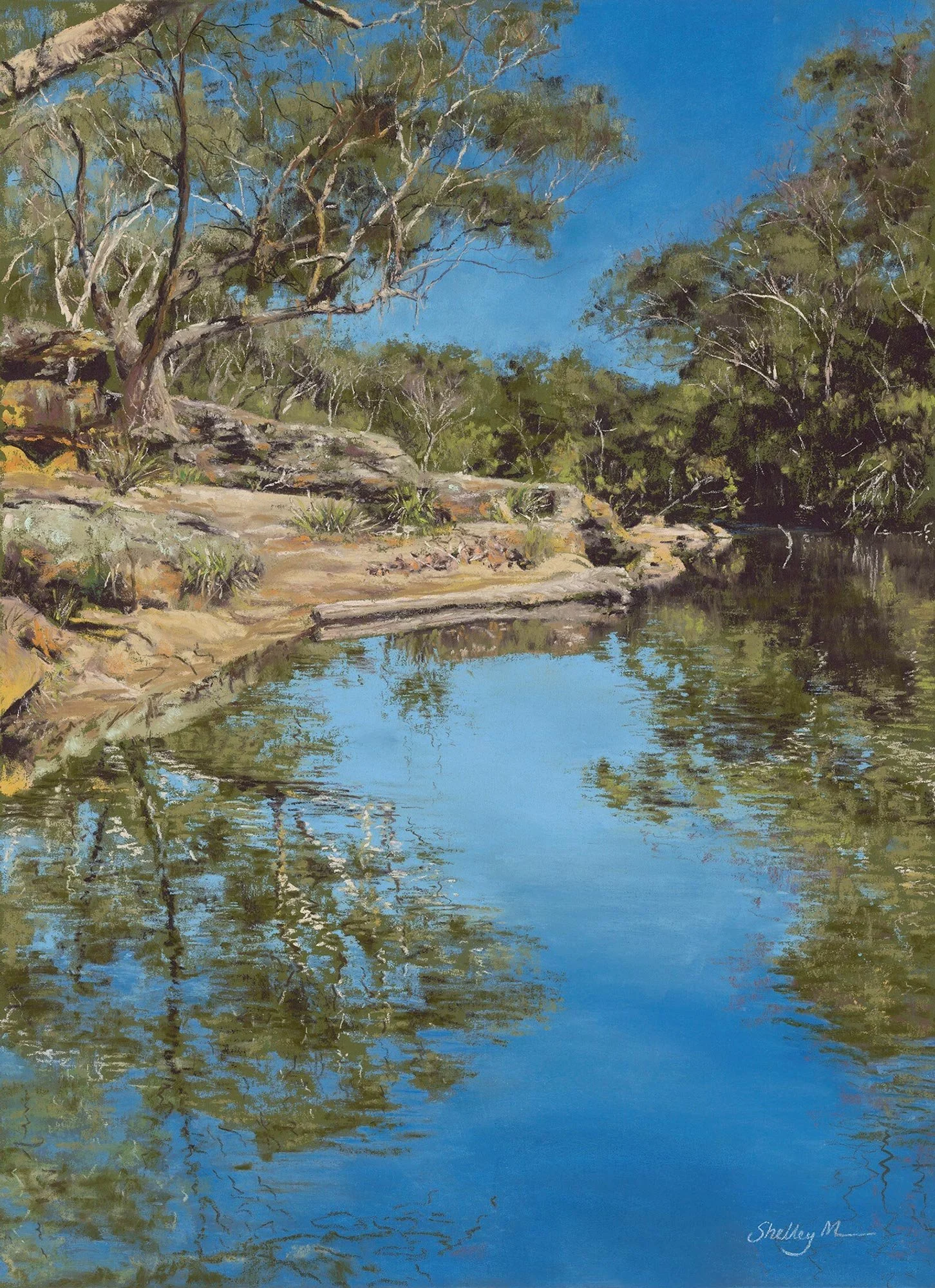 Rippled Reflections
soft pastel
43.5 x 31.5 cm / framed 64.5 x 52.5 cm
$1,600