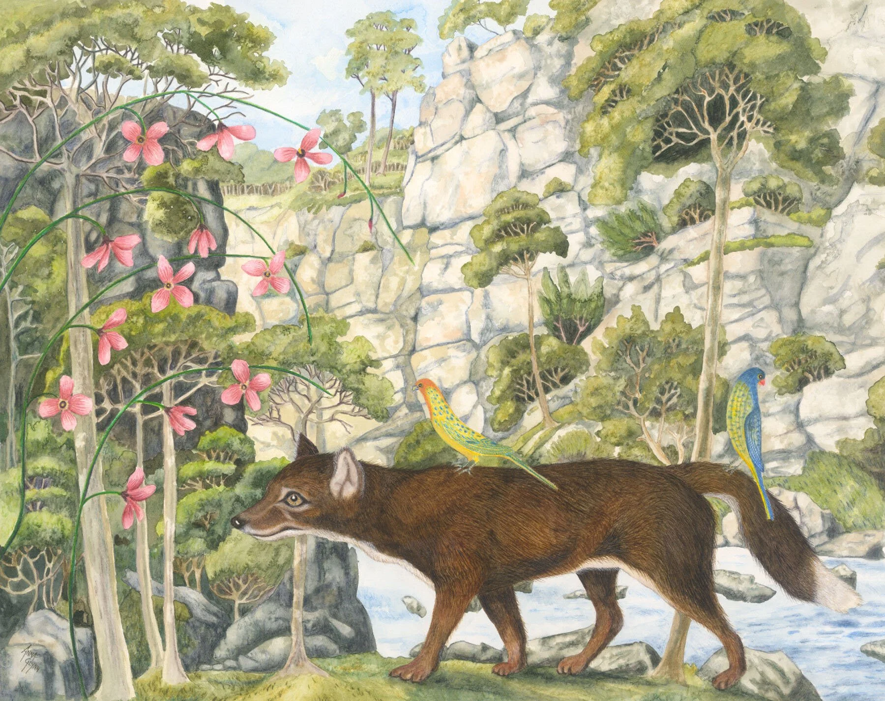 Antipodean Wonderland Tableaux Stubbs Dingo
2017
Ink, watercolour & pencil on Arches paper
51 x 66 cm / 75 x 87 cm framed
$5,400