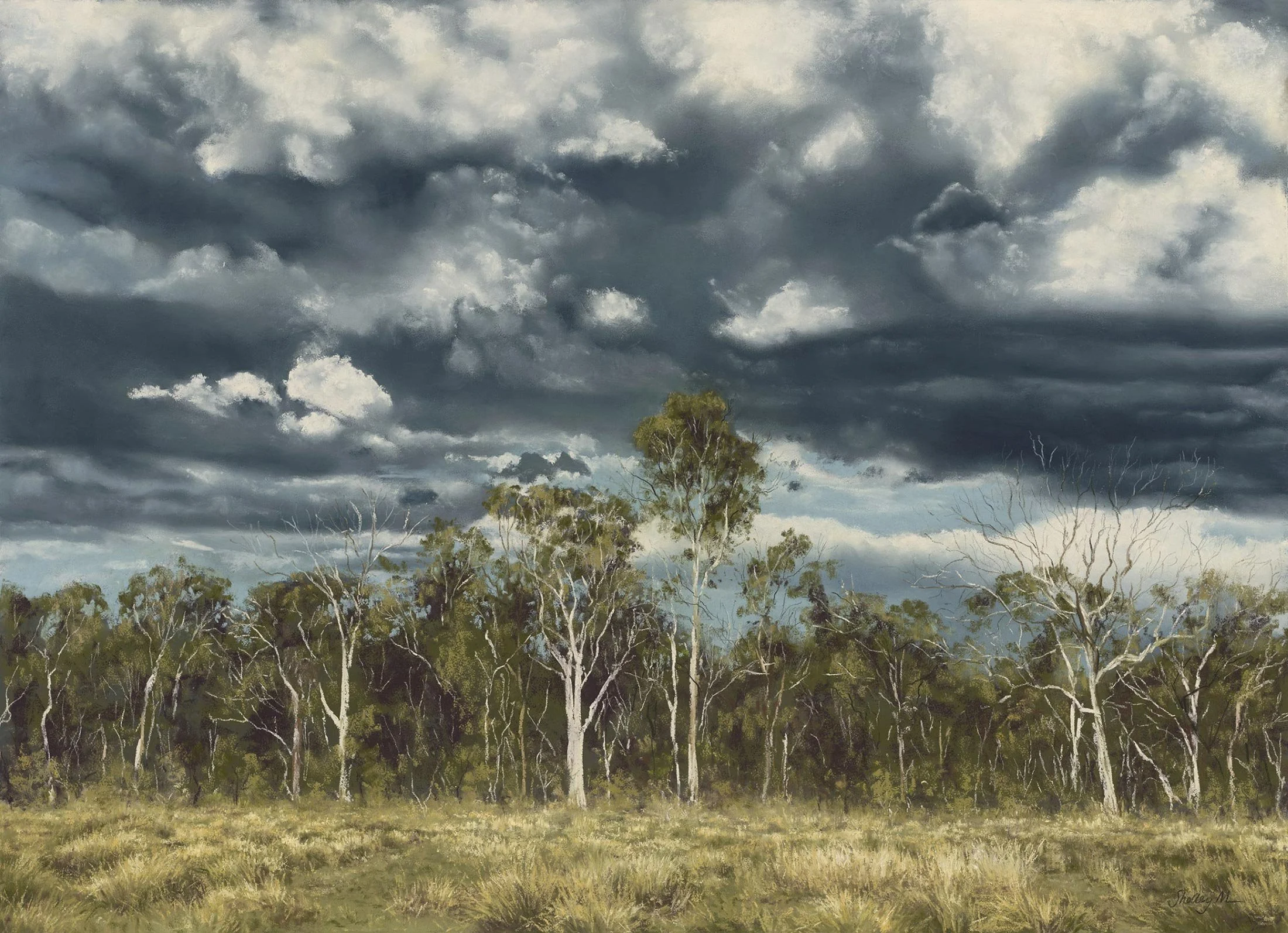 Weathering the Storm
soft pastel
51 x 71 cm  /  framed 72 x 92 cm