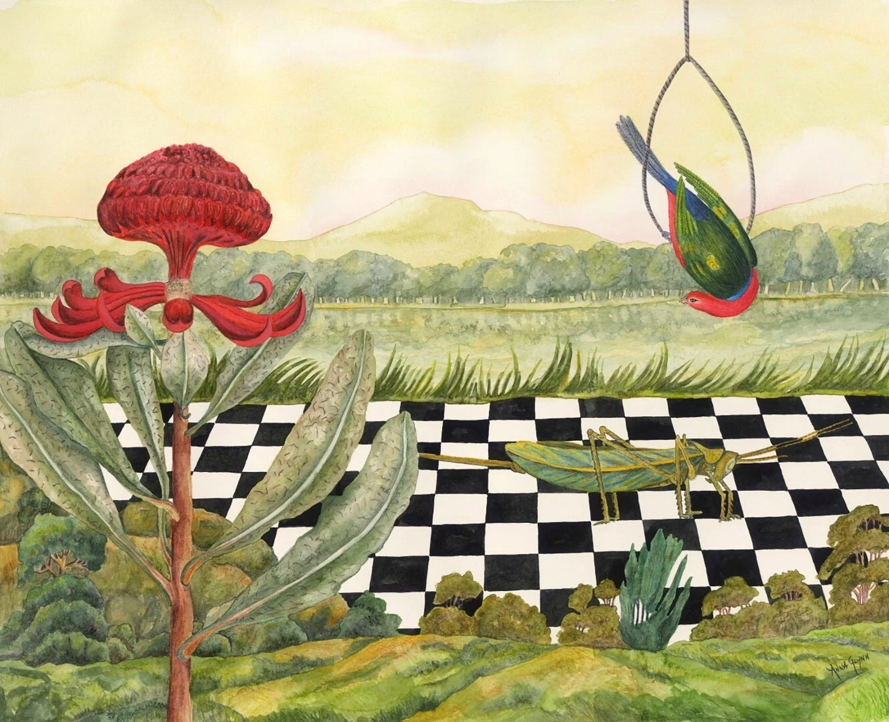 Antipodean Wonderland Reimagined from John Hunter
2017
ink, watercolour & pencil on Arches paper
51 x 66 cm

