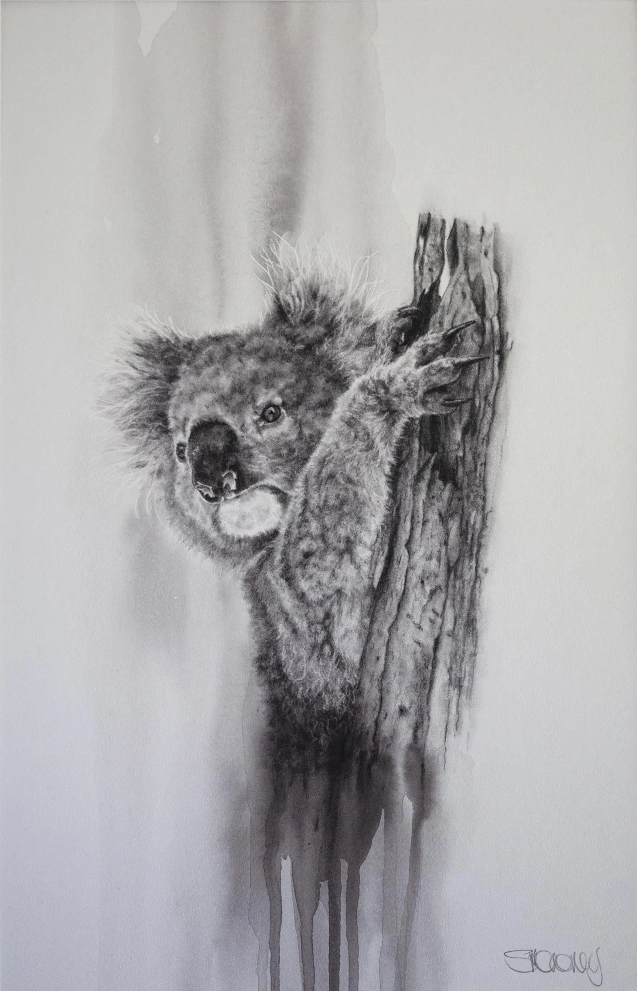 The Vanishing 11
charcoal & watercolour wash
42.5 x 28 cm/ framed 67.5 x 52.5 cm
