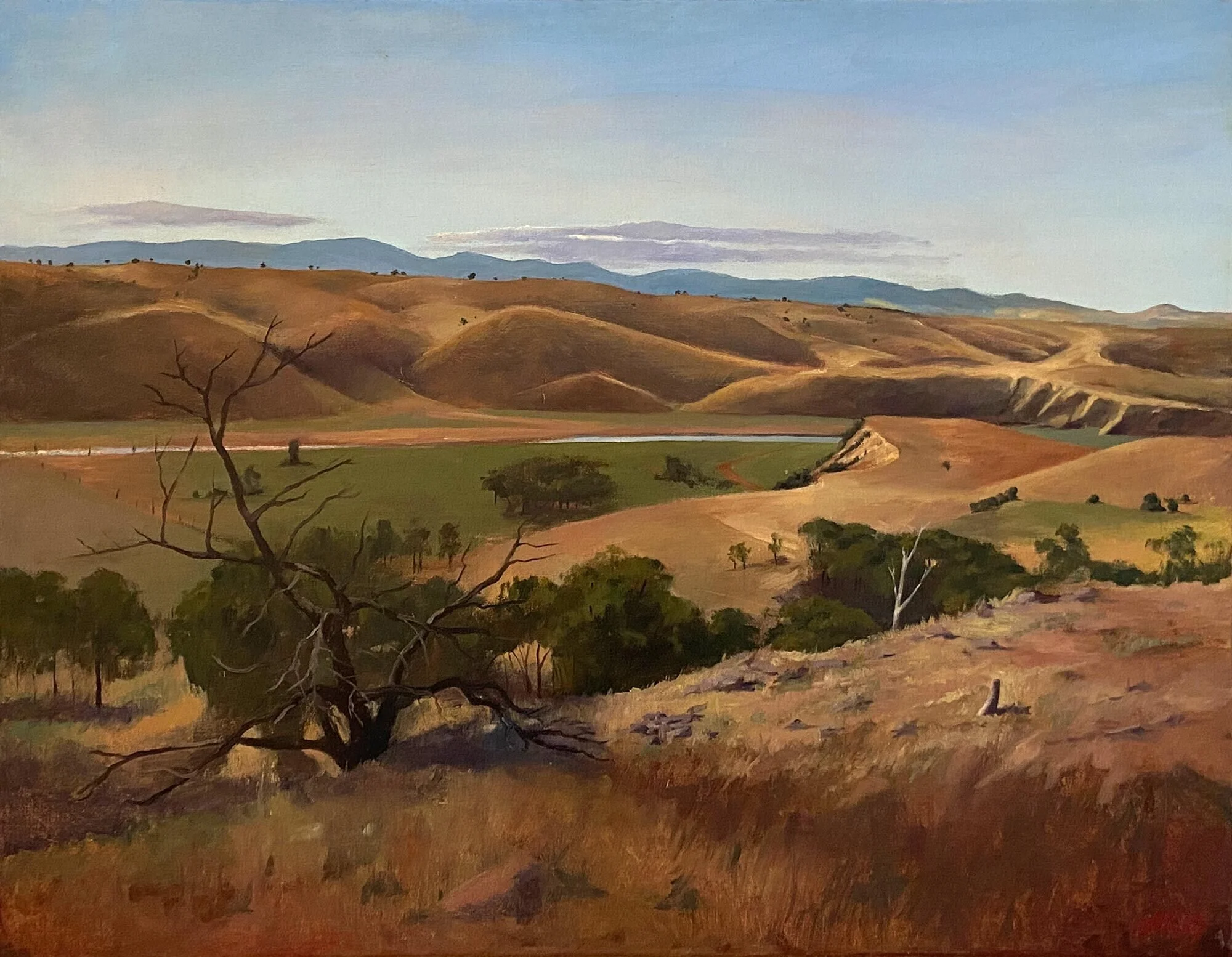 Across The Murrumbidgee
oil on linen
72 x 92 cm
$ 4,200
