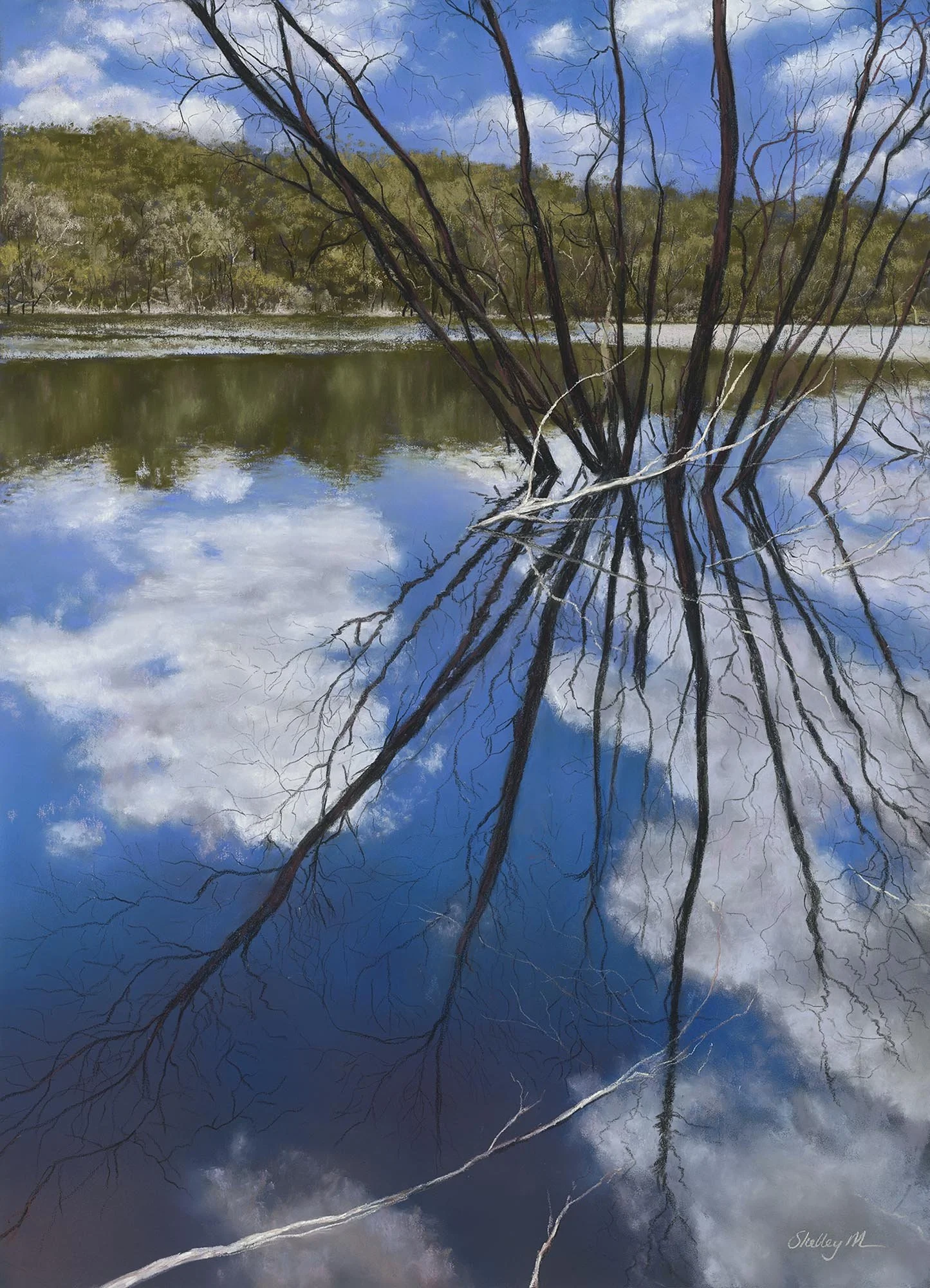 Reflecting Resilience
soft pastel
71 x 51 cm
