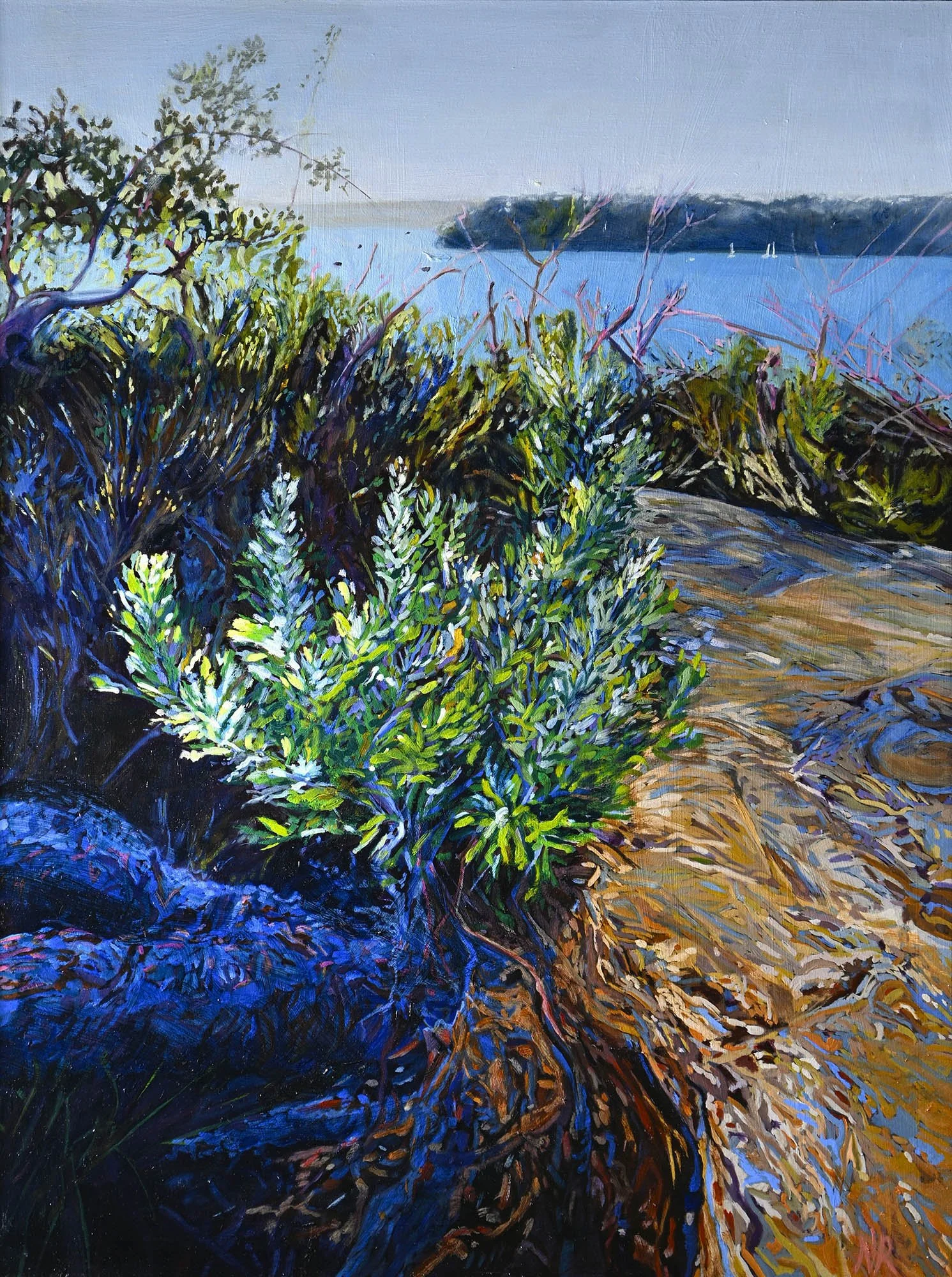 Banksia Renewal
oil on birch panel
framed in Tassie oak
80 x 60 cm