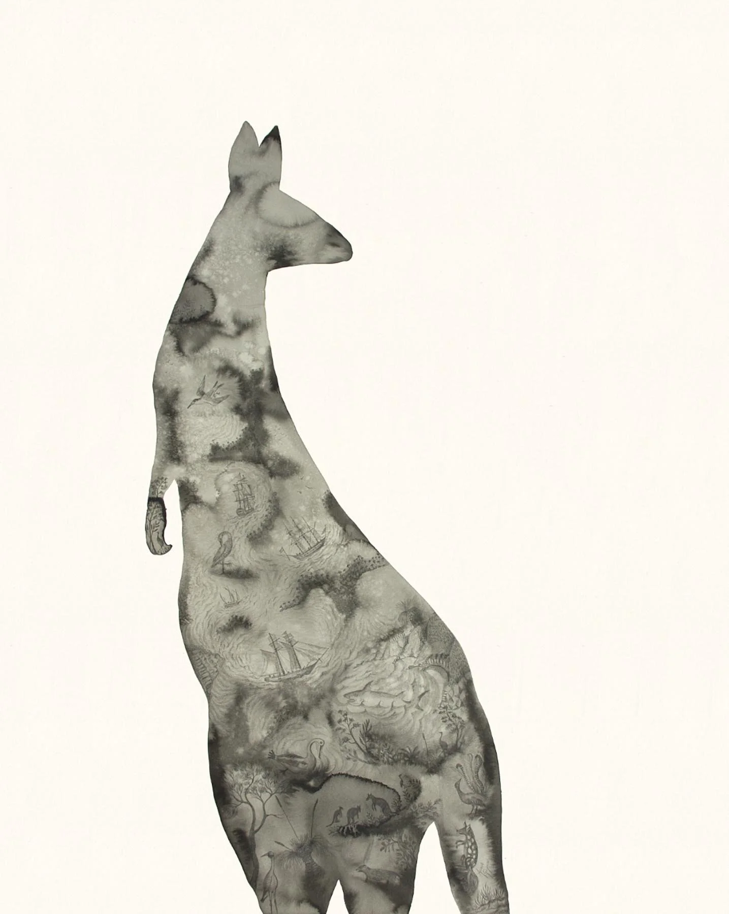 Awaiting Discovery, After Lewin
2015
ink & pencil on Arches paper
133 x 98 cm

 Acquired Kedumba Collection of Australian Drawings, Australia 2015 
