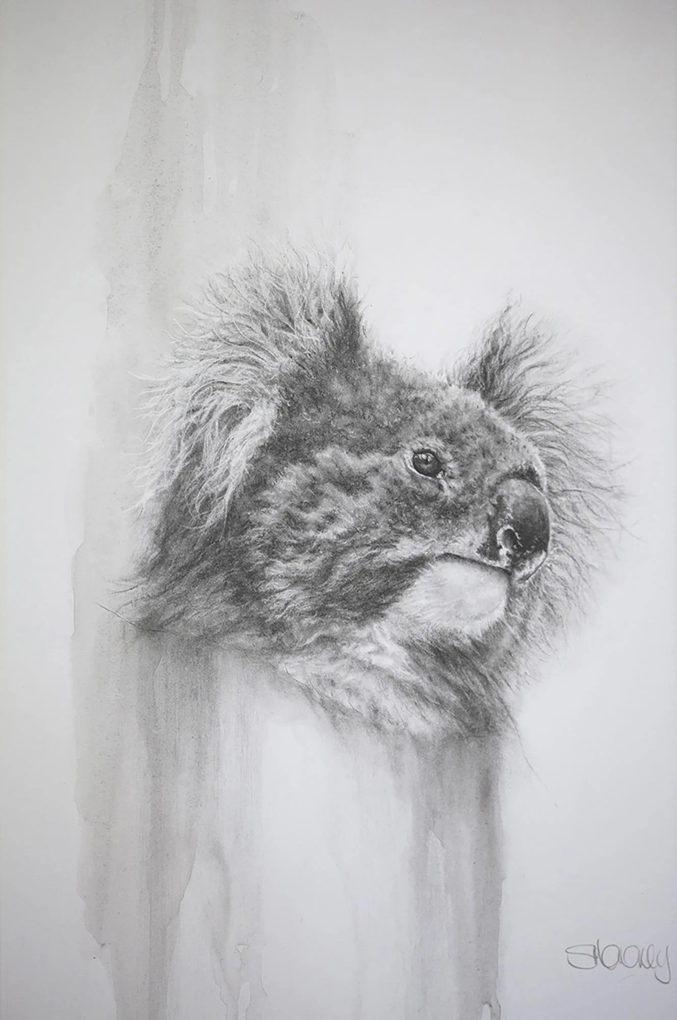 The Vanishing 18
charcoal & watercolour wash
41.5 x 27 cm/ framed 67 x 52 cm