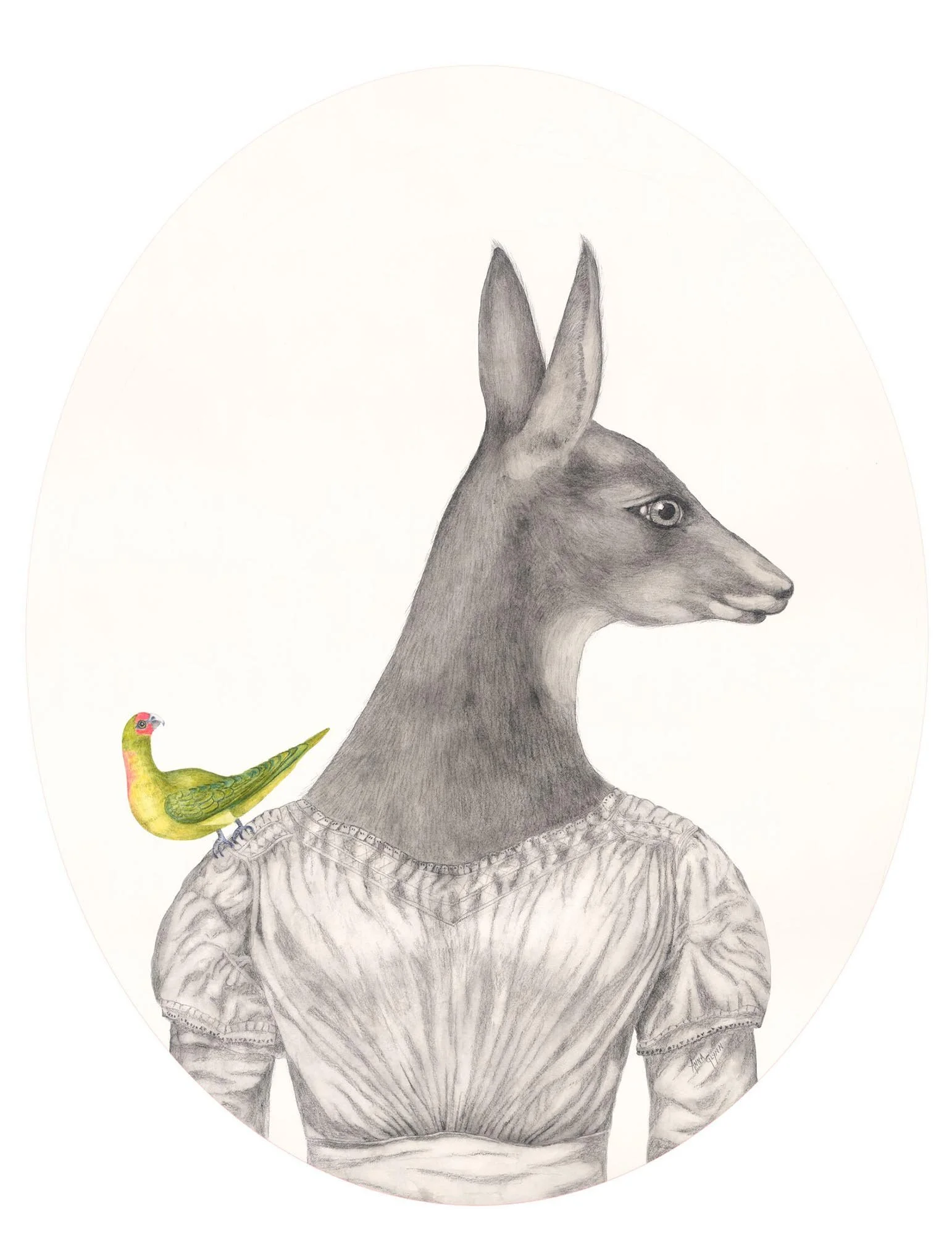 Colonial Hybrid Portrait: Lewin Kangaroo in extant  colonial dress Small Parakeet by Thomas Watling 1792
2017
Ink, watercolour & pencil on Arches paper
56 x 46 cm / 78 x 67 cm framed
$4,200