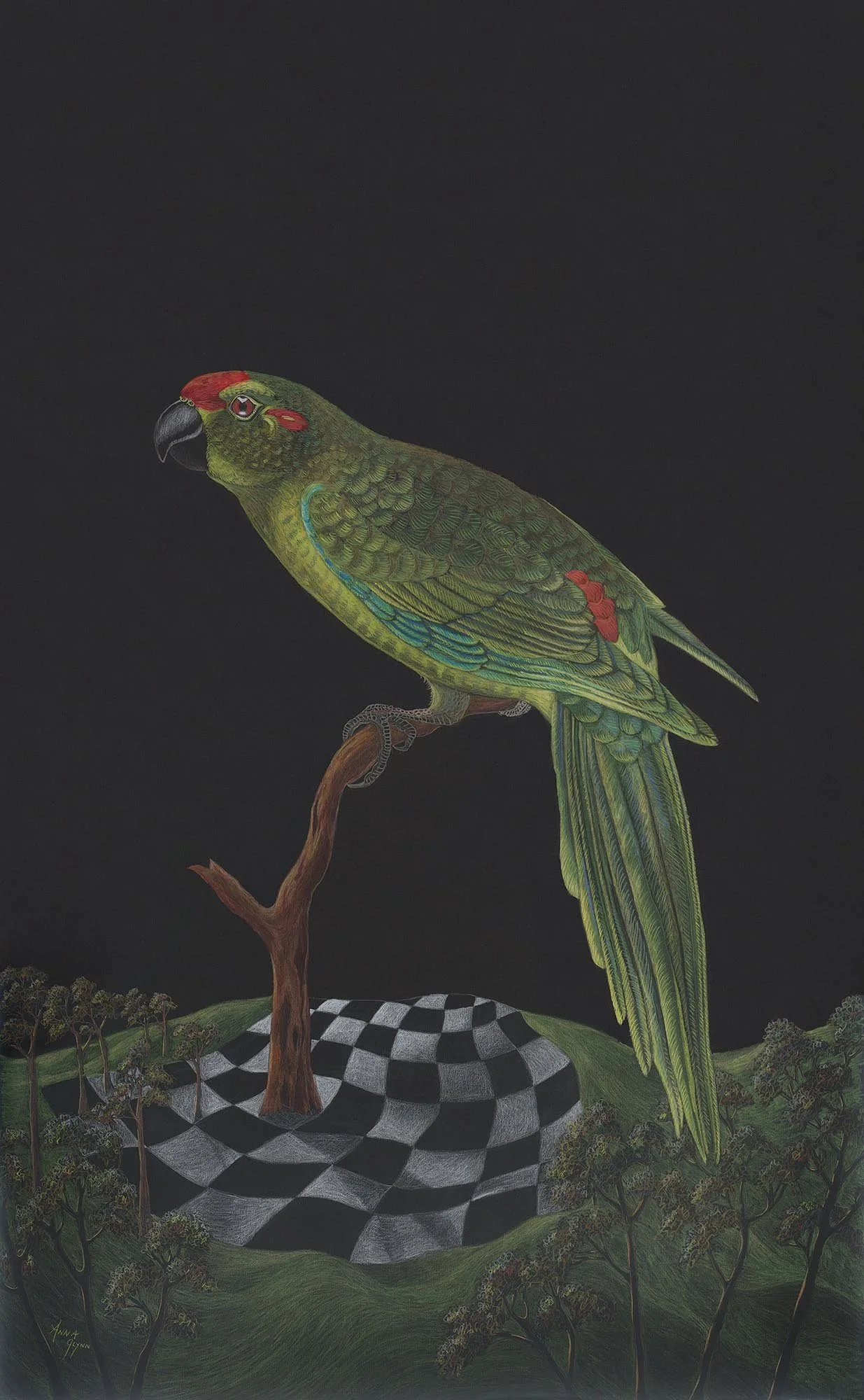 Extinction Game – Red-Crowned Parakeet
2020
Pencil and watercolour on Stonehenge 250gsm paper
95 x 62cm unframed / 120 x 80cm framed
$7,500